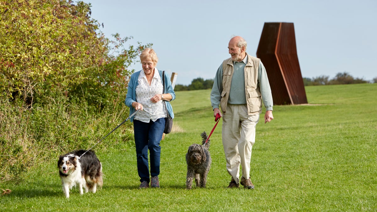 Top walks in Essex, Bedfordshire and Herts National Trust