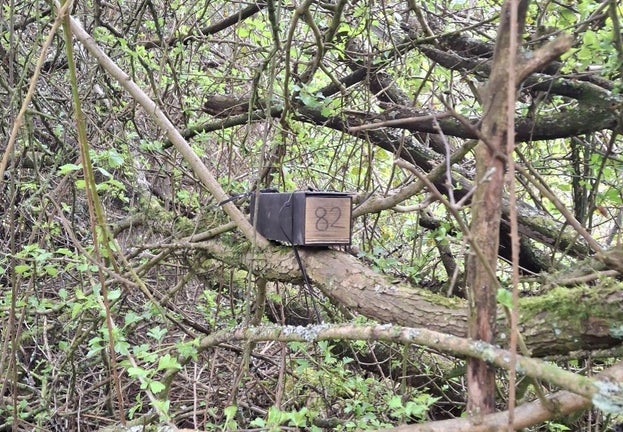 Image shows doormouse monitoring tube in woodland