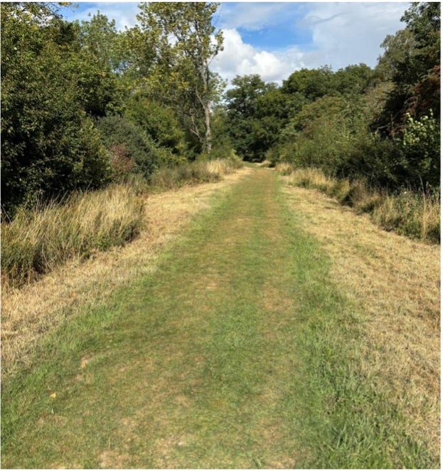 A recently cut wide ride in the western coppices at Hatfield Forest, Essex