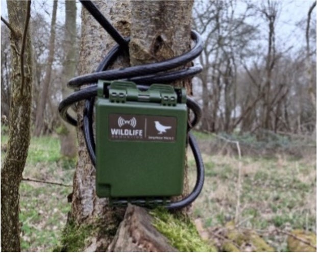 A bird recorder set up in a tree in Emblems Coppice, Hatfield Forest, Essex
