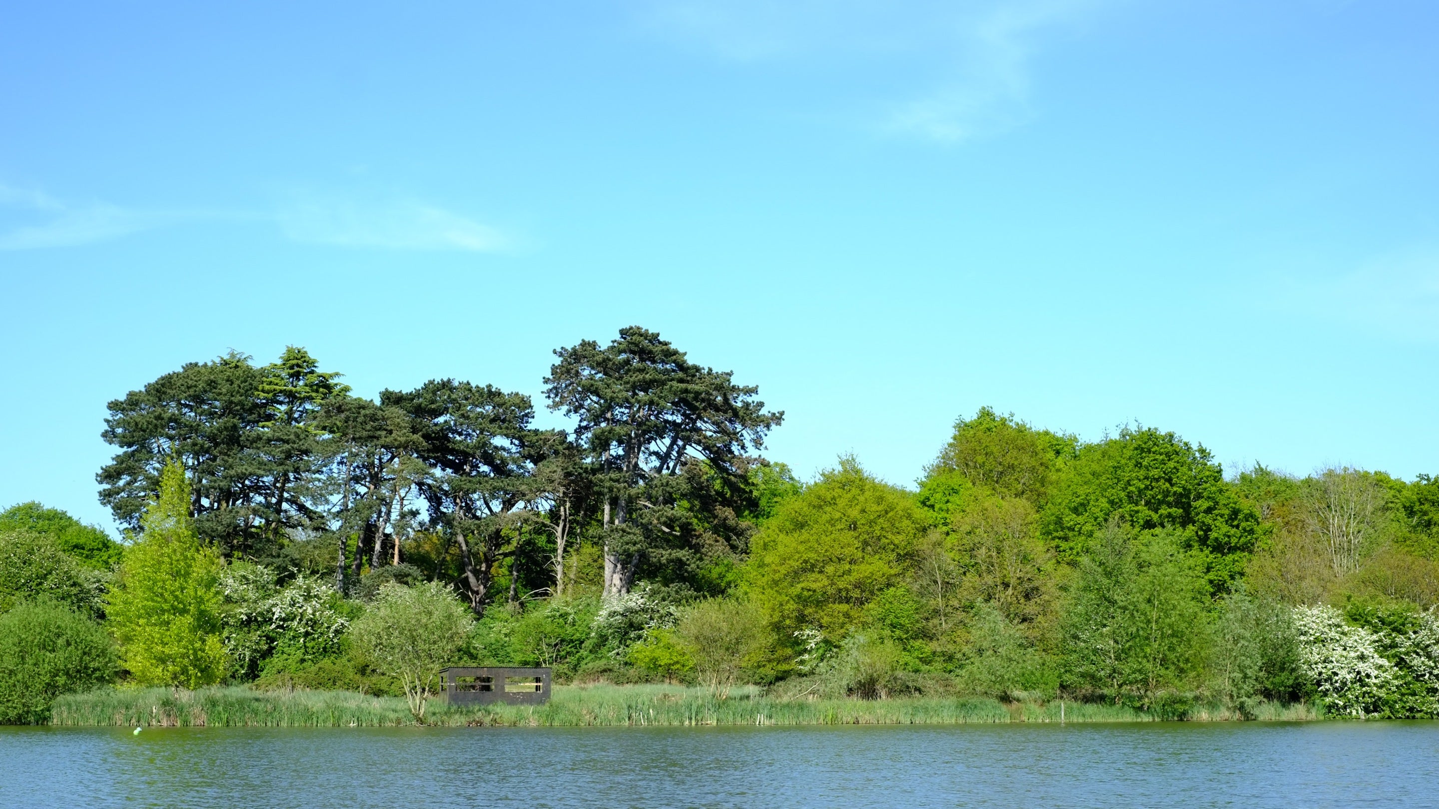 View across the lake at Hatfield Forest, Essex