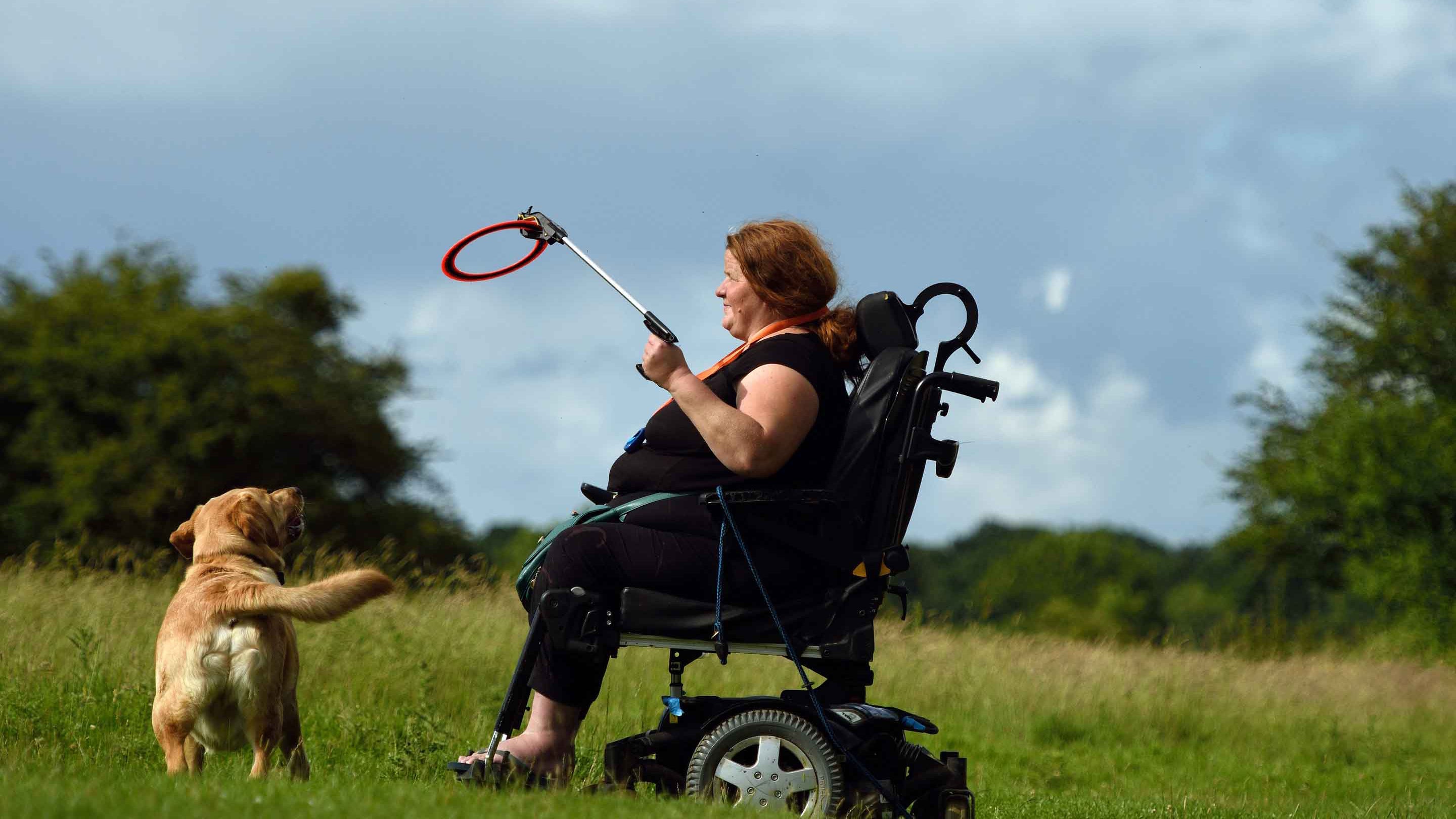 Visitor in a wheelchair playing with her dog at Hatfield Forest, Essex