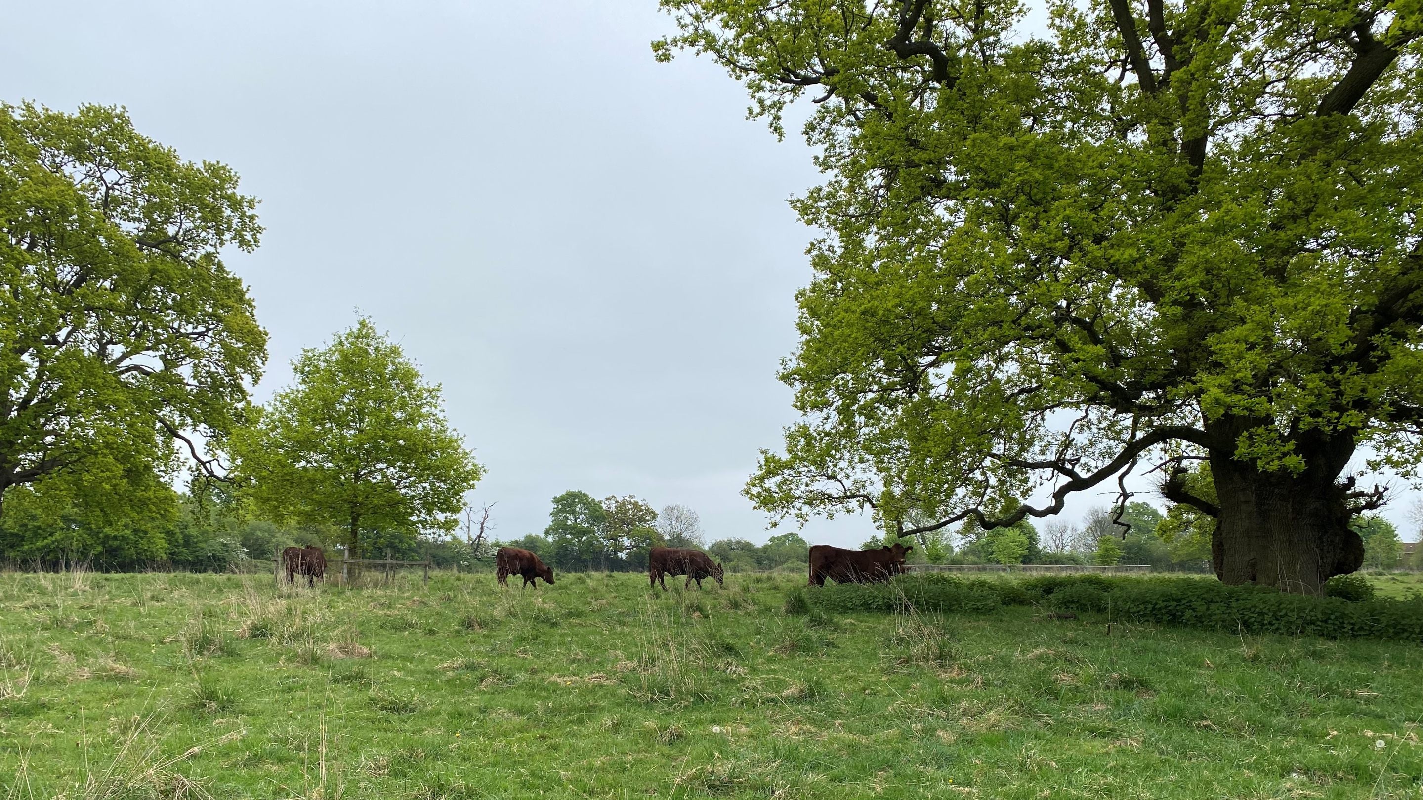 Morven Park, Hertfordshire