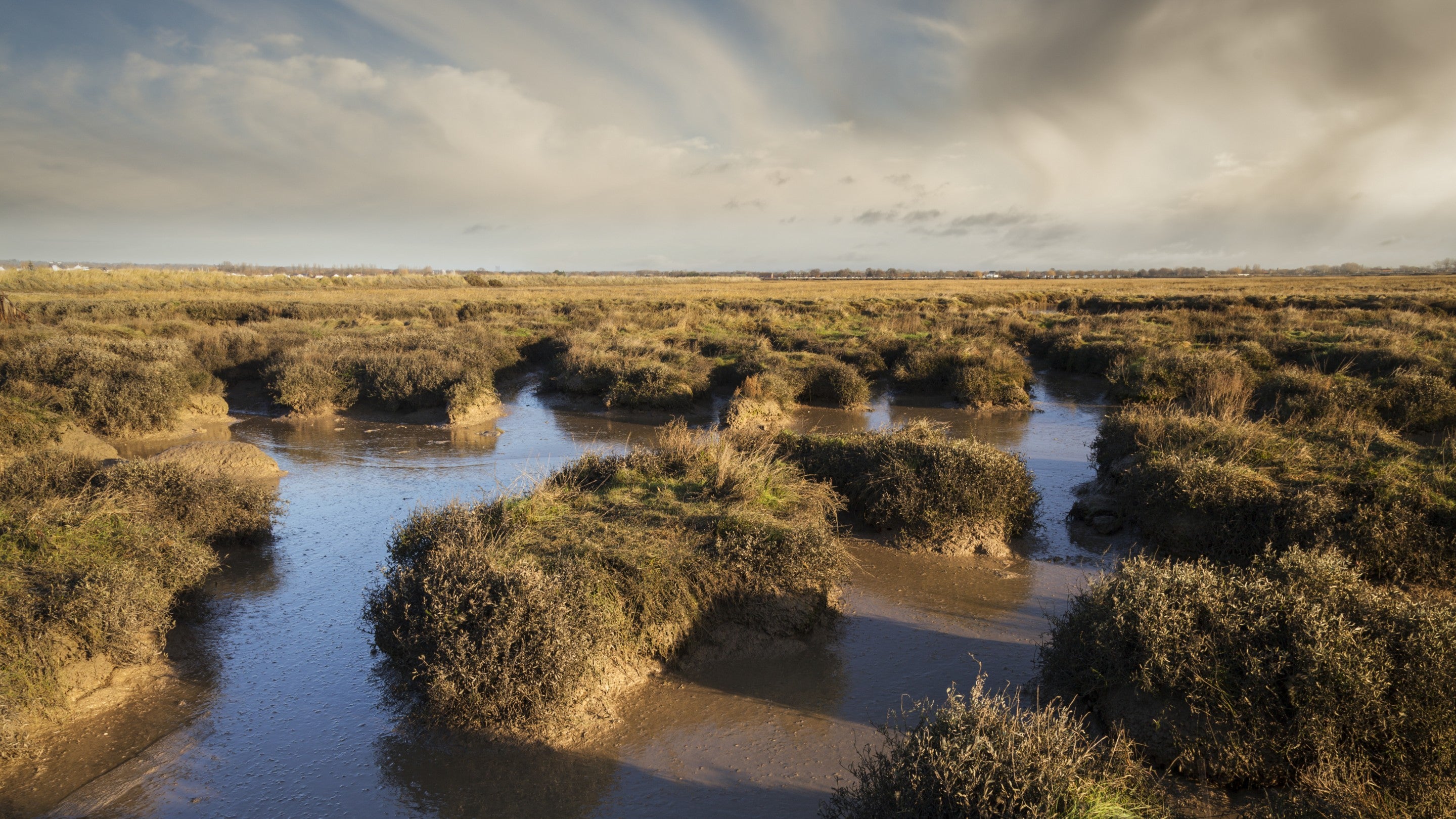 A view over the saltmarsh at Northey Island, Essex