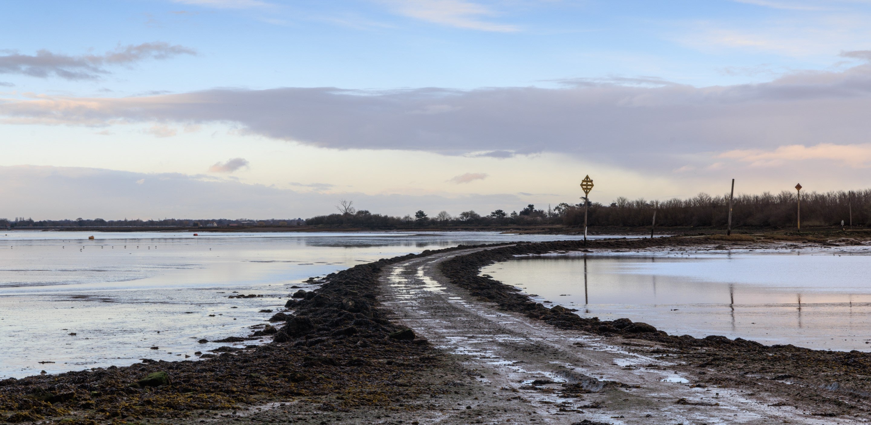 The causeway to Northey Island with water either side of it at low tide