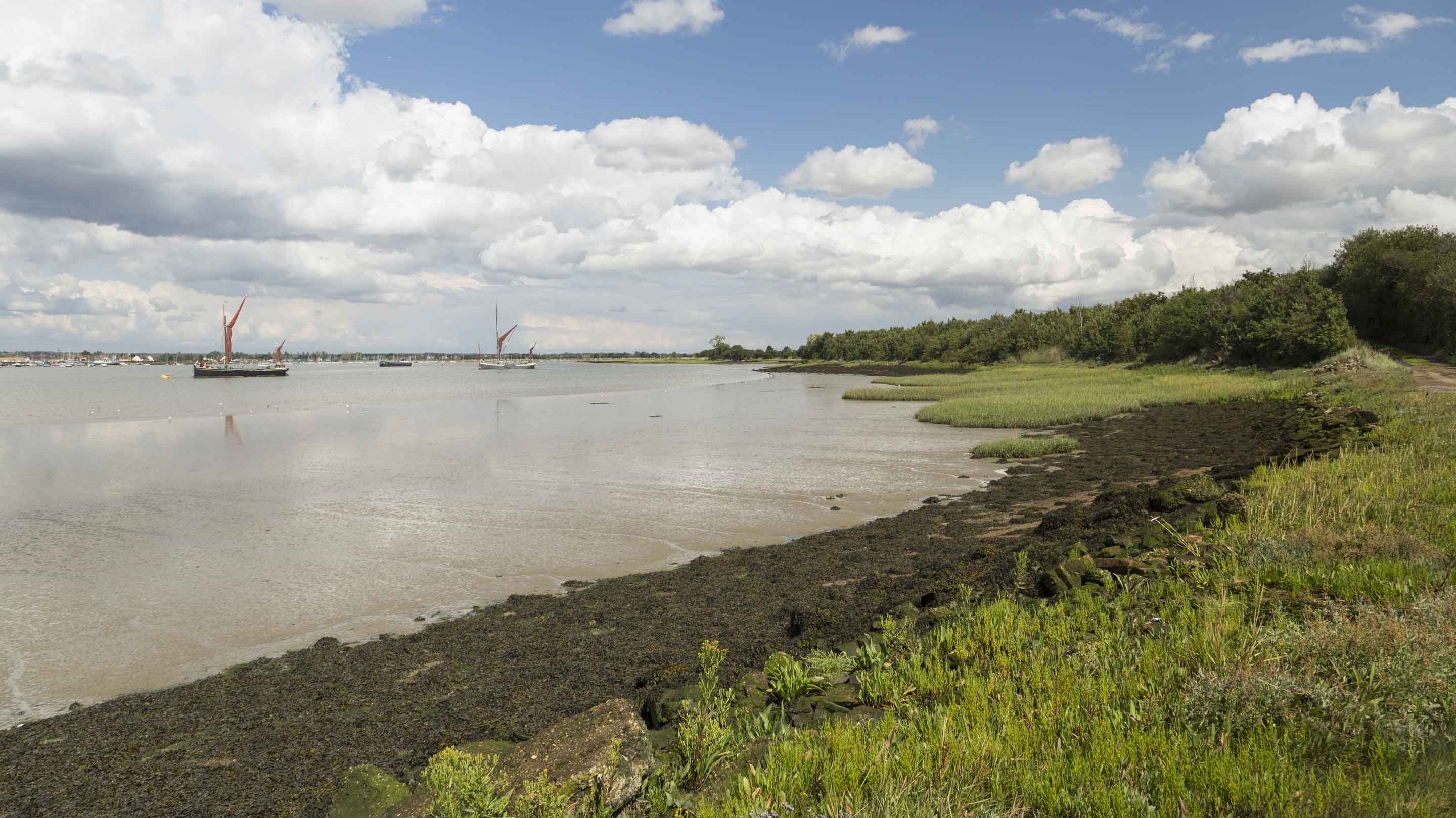 A view along the coastline of Northey Island, Essex
