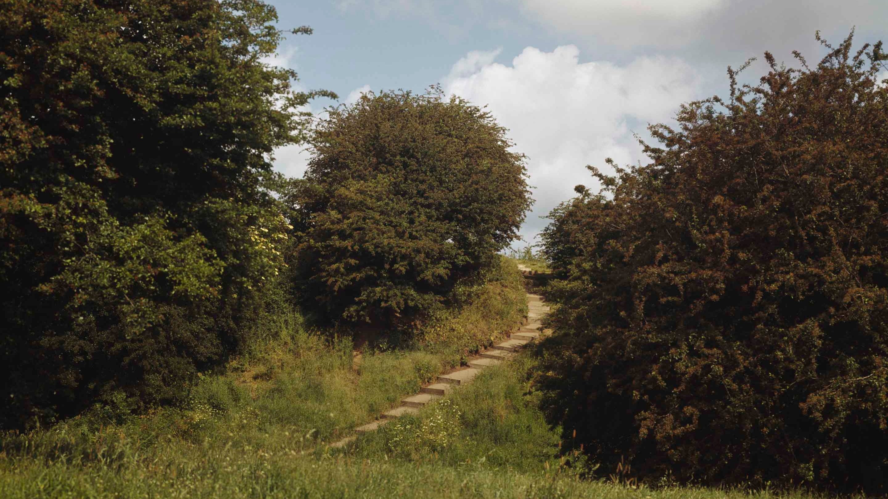 A view up the path towards the hill at Rayleigh Mount, Essex