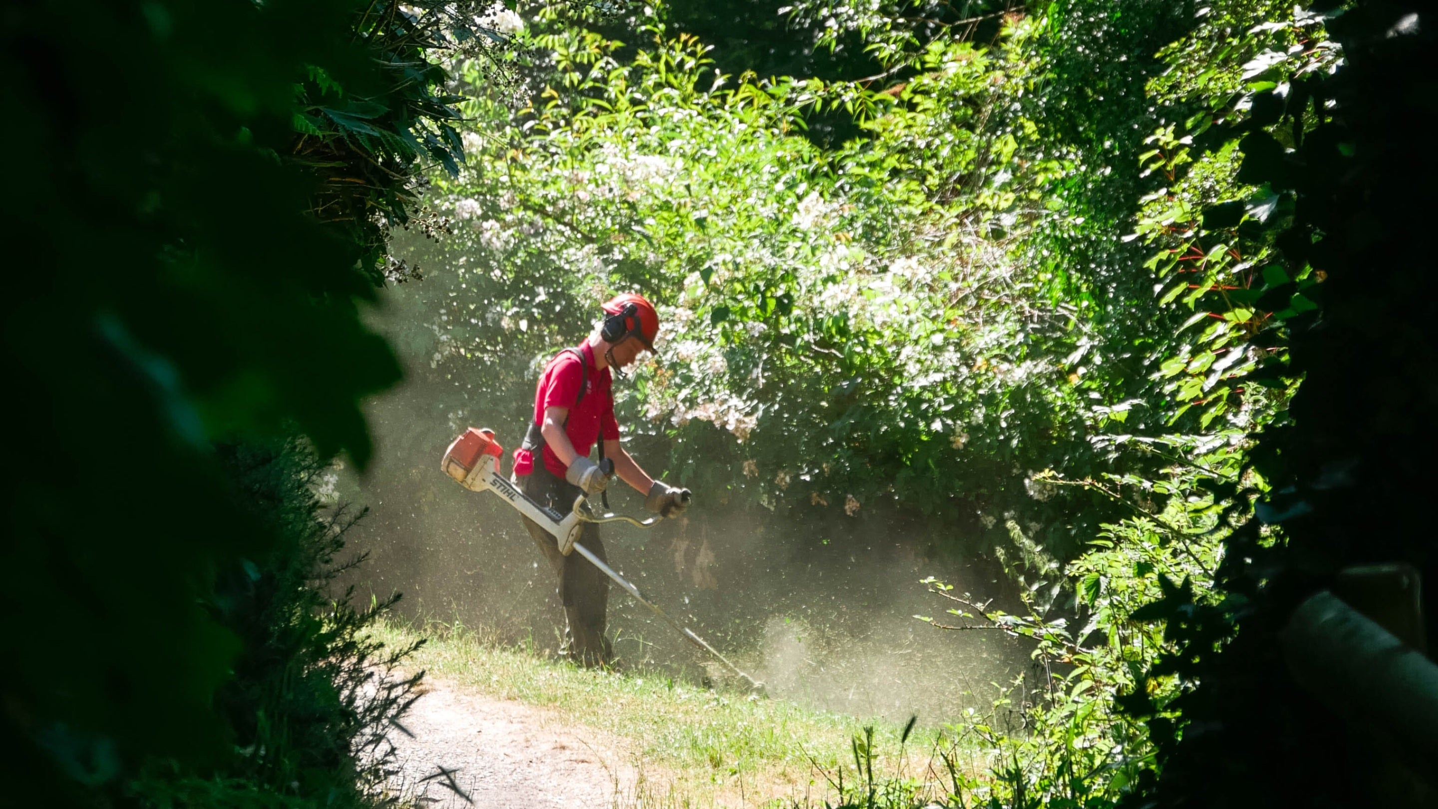 A ranger strimming grass at Rayleigh Mount, Essex, in the sunshine, with areas of deep shadow beneath the trees