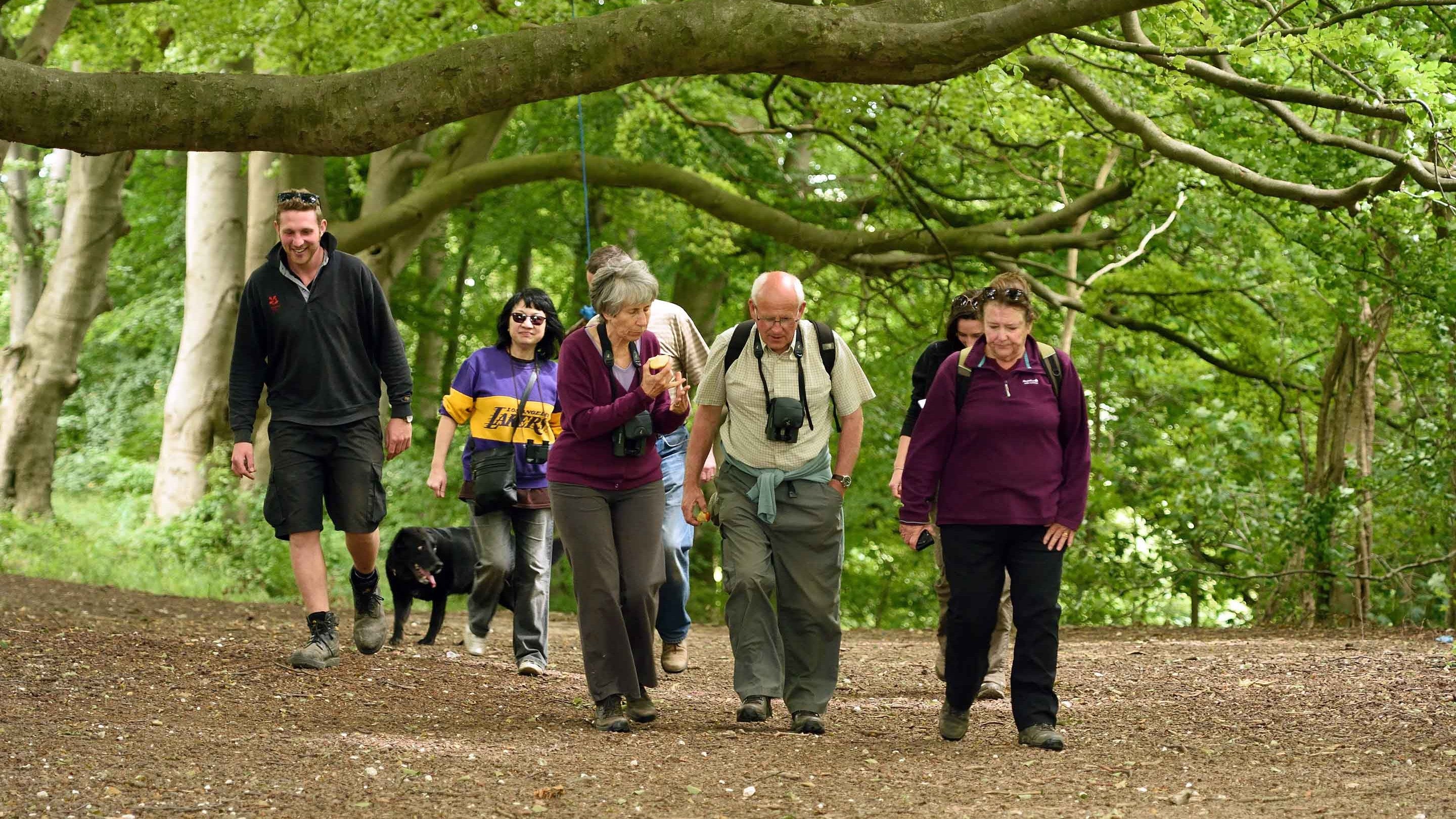 Visitors on a guided nature walk at Sharpenhoe Clappers, Sharpenhoe, Bedfordshire