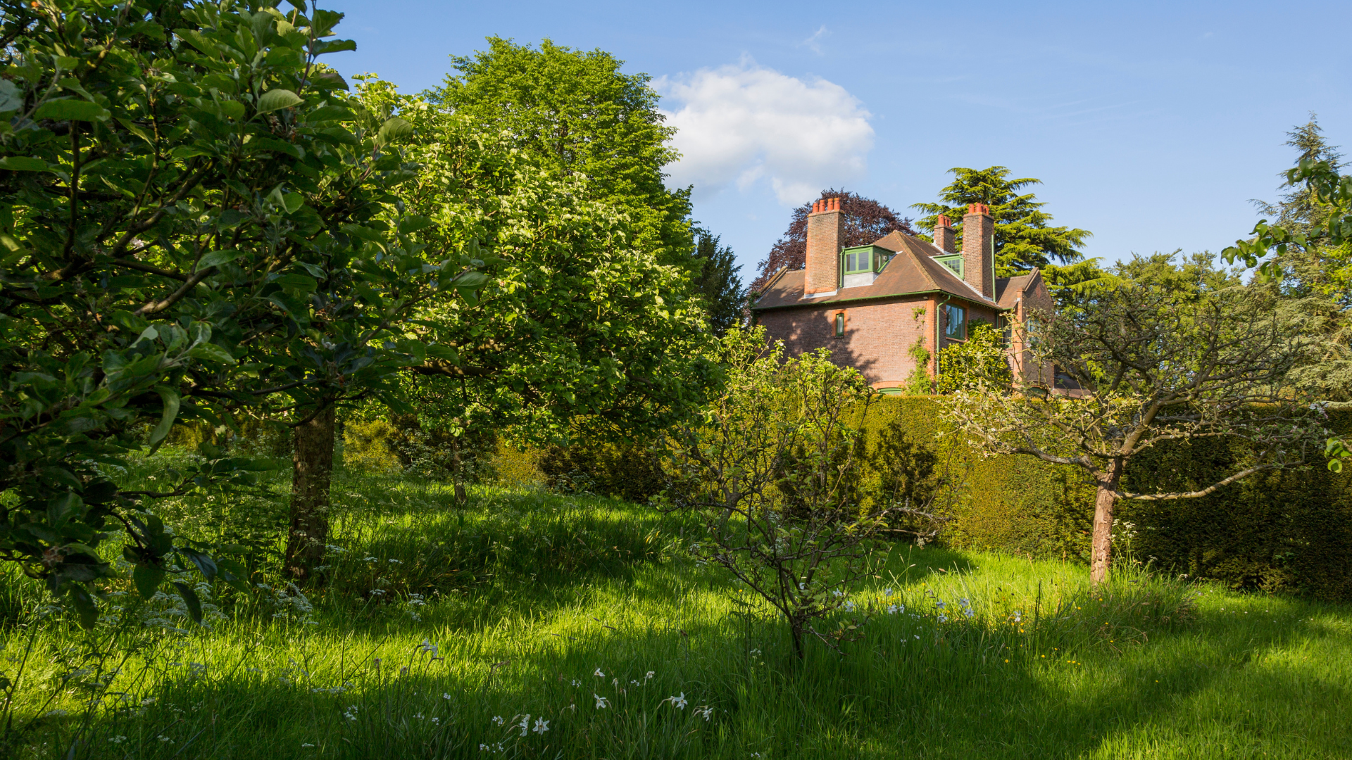 A view through the orchard towards the house at Shaw's Corner.