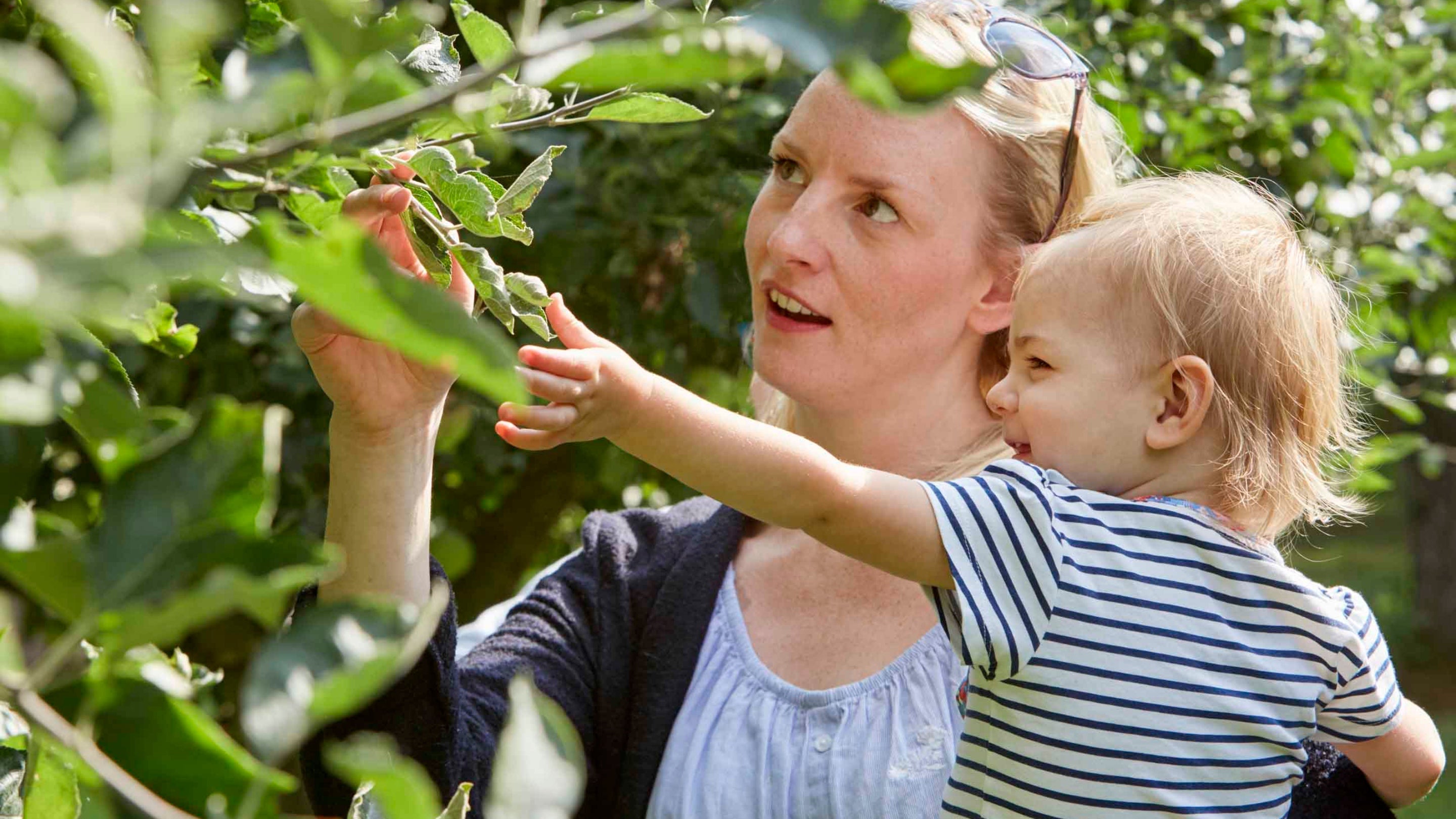 Visitors in the garden at Shaw's Corner, Hertfordshire