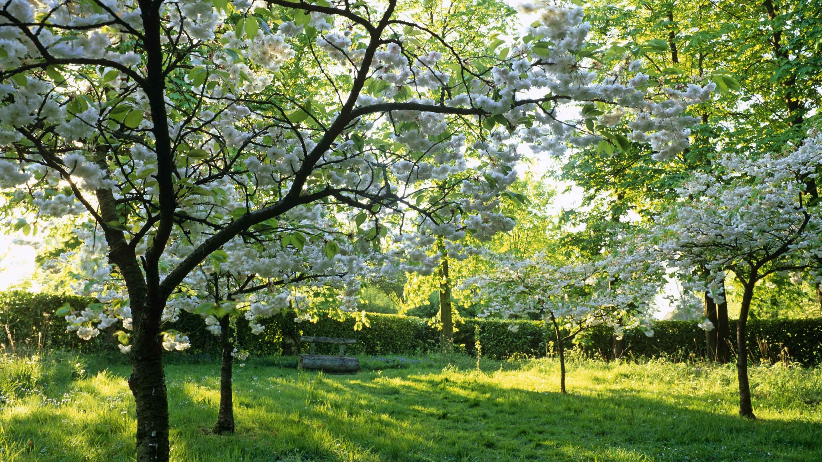 The Easter Chapel at Whipsnade Tree Cathedral, Bedfordshire in spring