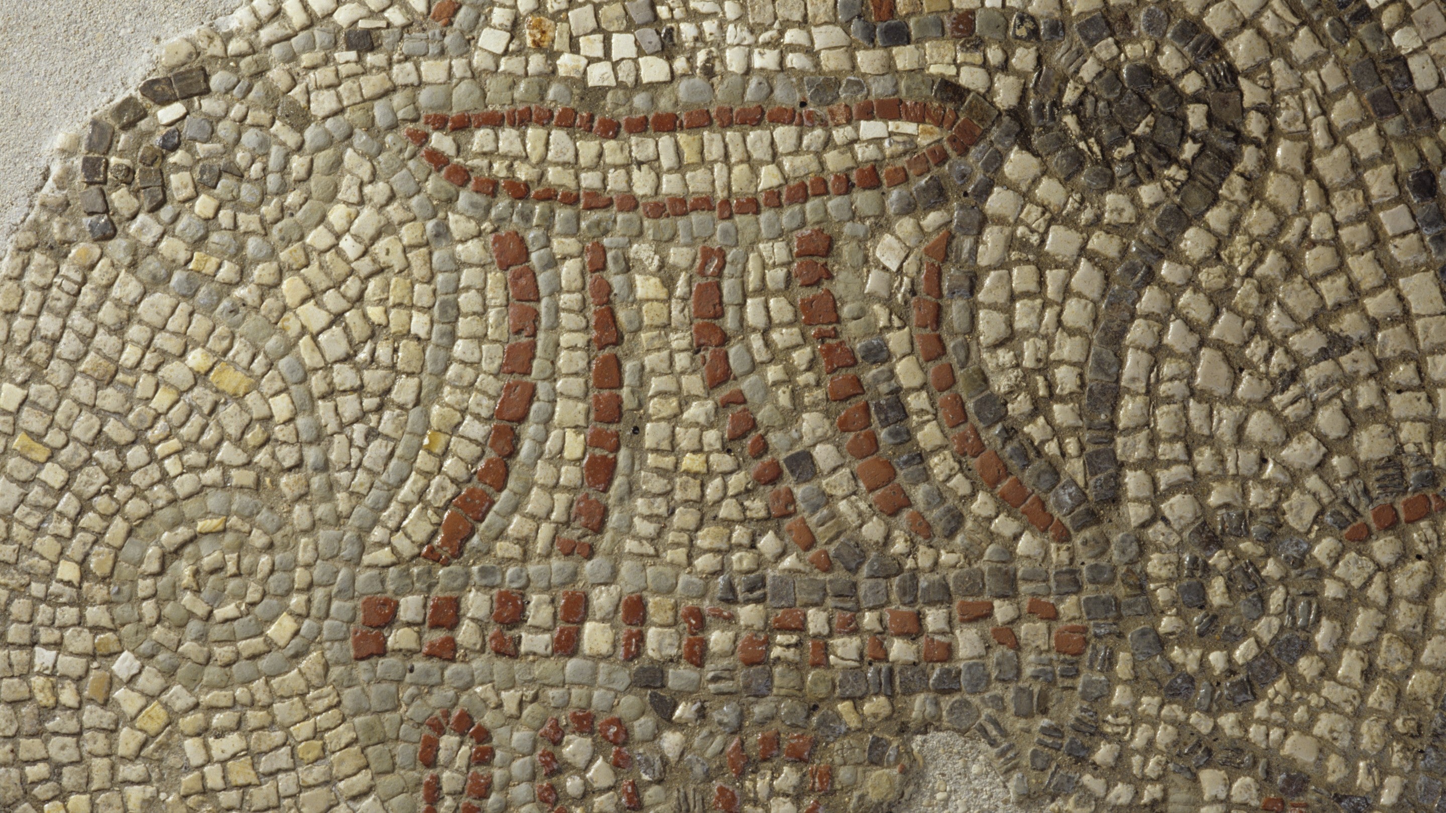 A close up of the central roundel of the mosaic, surrounded by a guilloche border at Chedworth Roman Villa, Gloucestershire