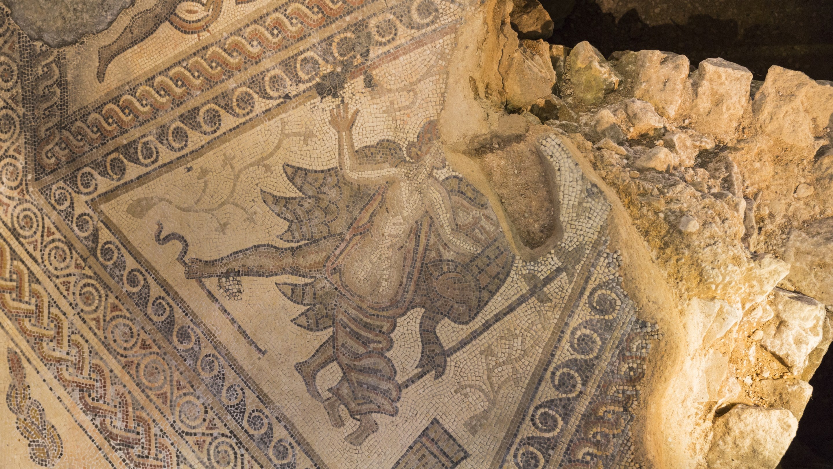 Slightly damaged floor mosaic at Chedworth Roman Villa, Gloucestershire