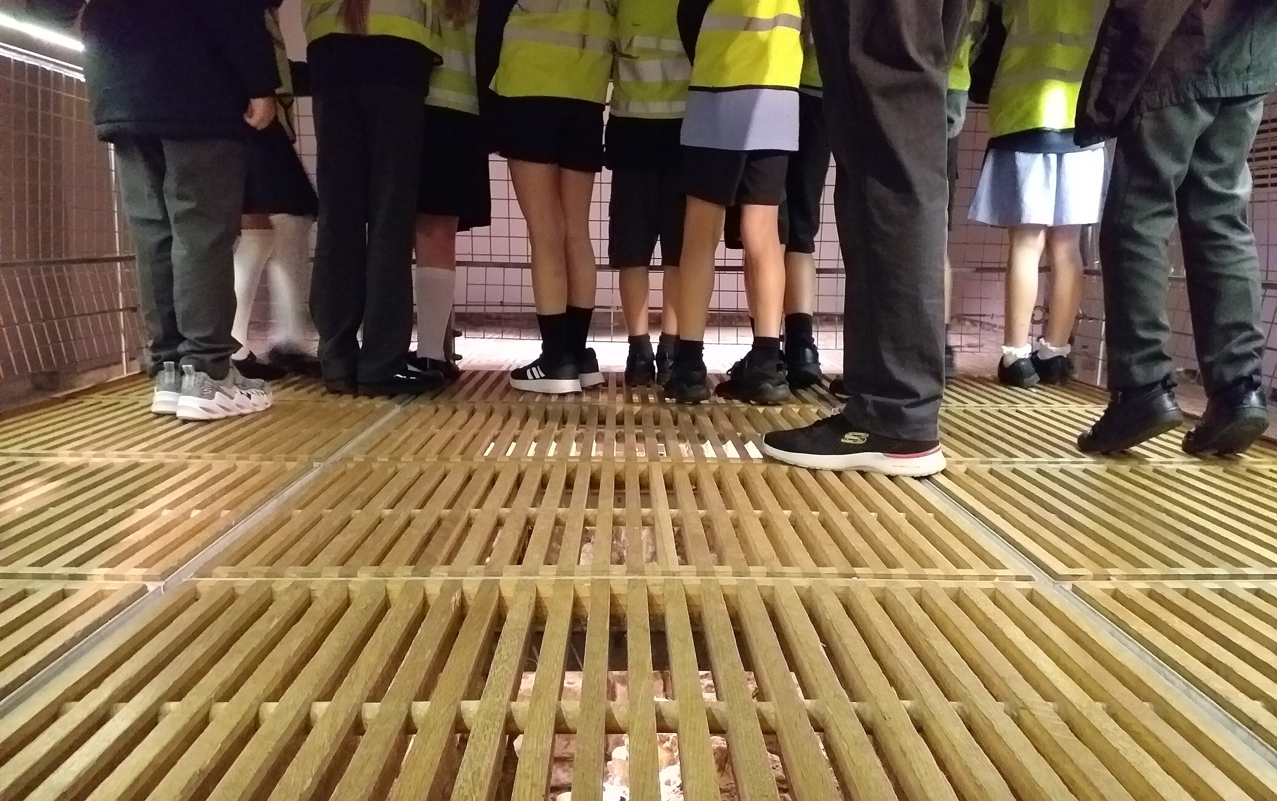 The legs of schoolchildren