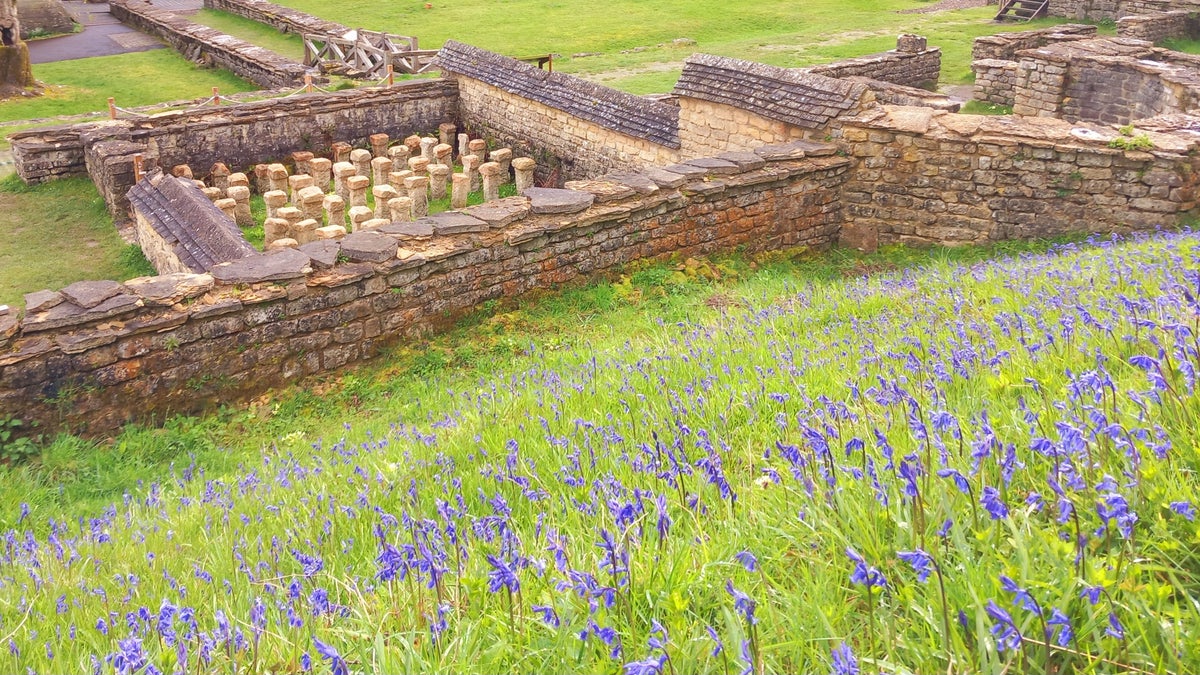 Chedworth Roman Villa Gloucestershire National Trust