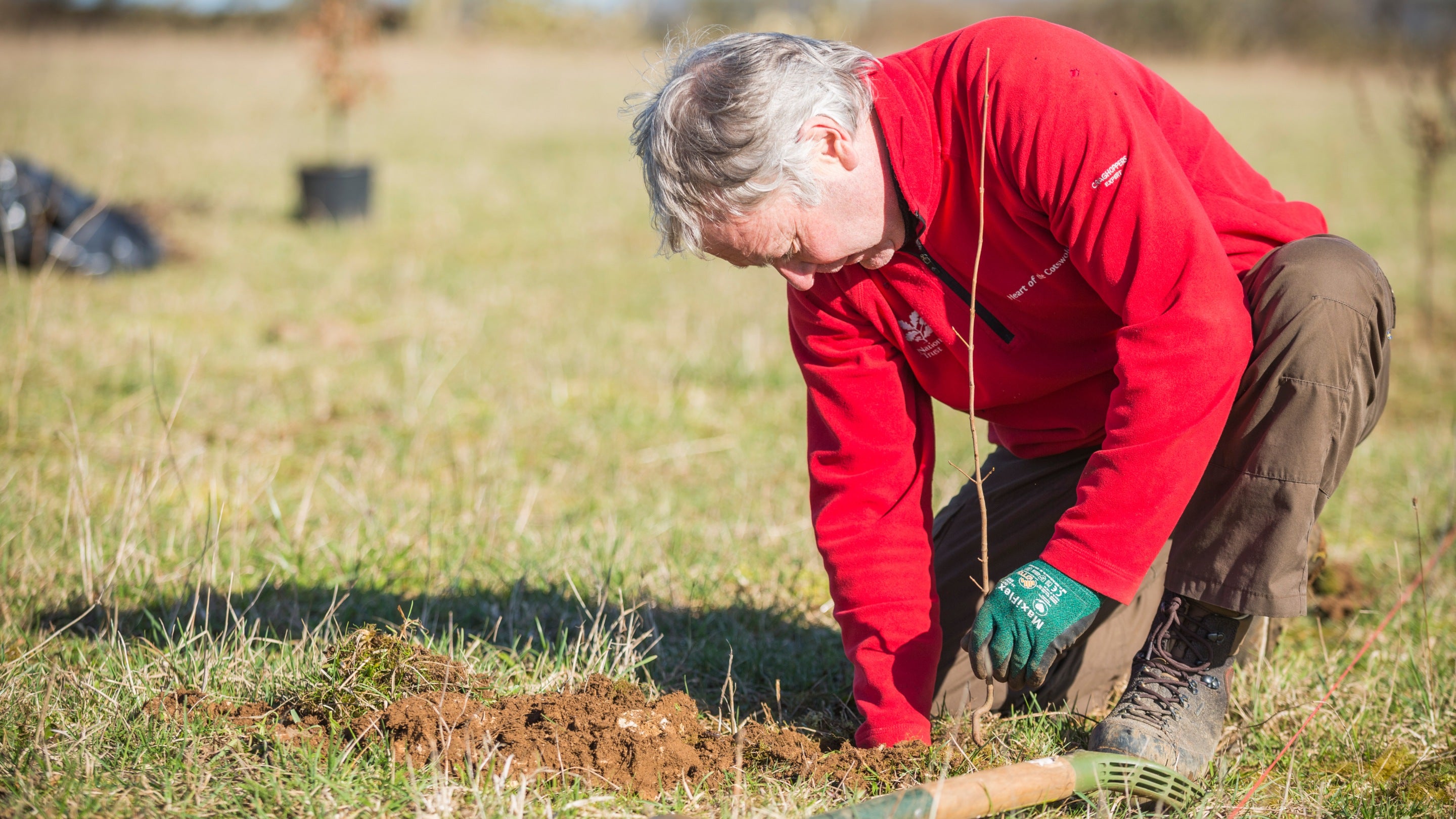 Volunteer tree planting on tenant farmland at Lodge Park, Gloucestershire