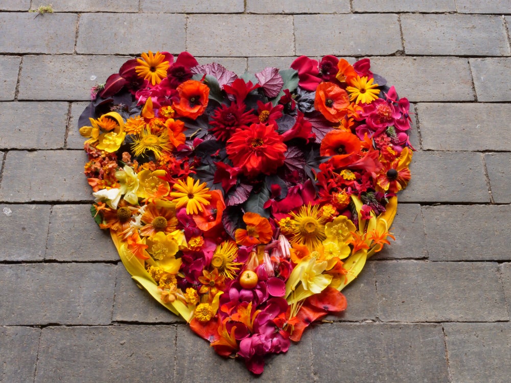 A colourful heart created from the range of flowers in the garden at Hidcote