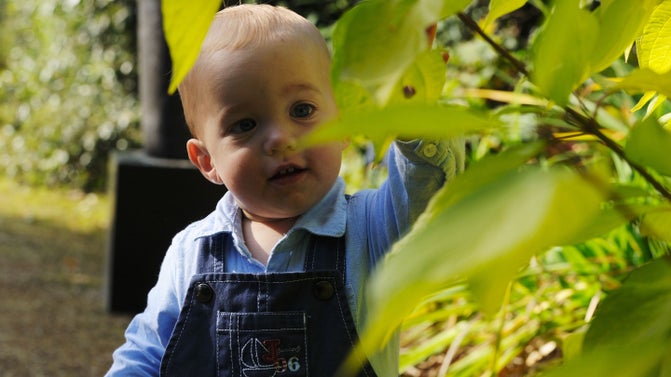 A toddler enjoying the summer at Hidcote, Gloucestershire