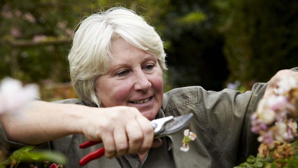 Volunteering at Westbury Court Garden │Glos National Trust