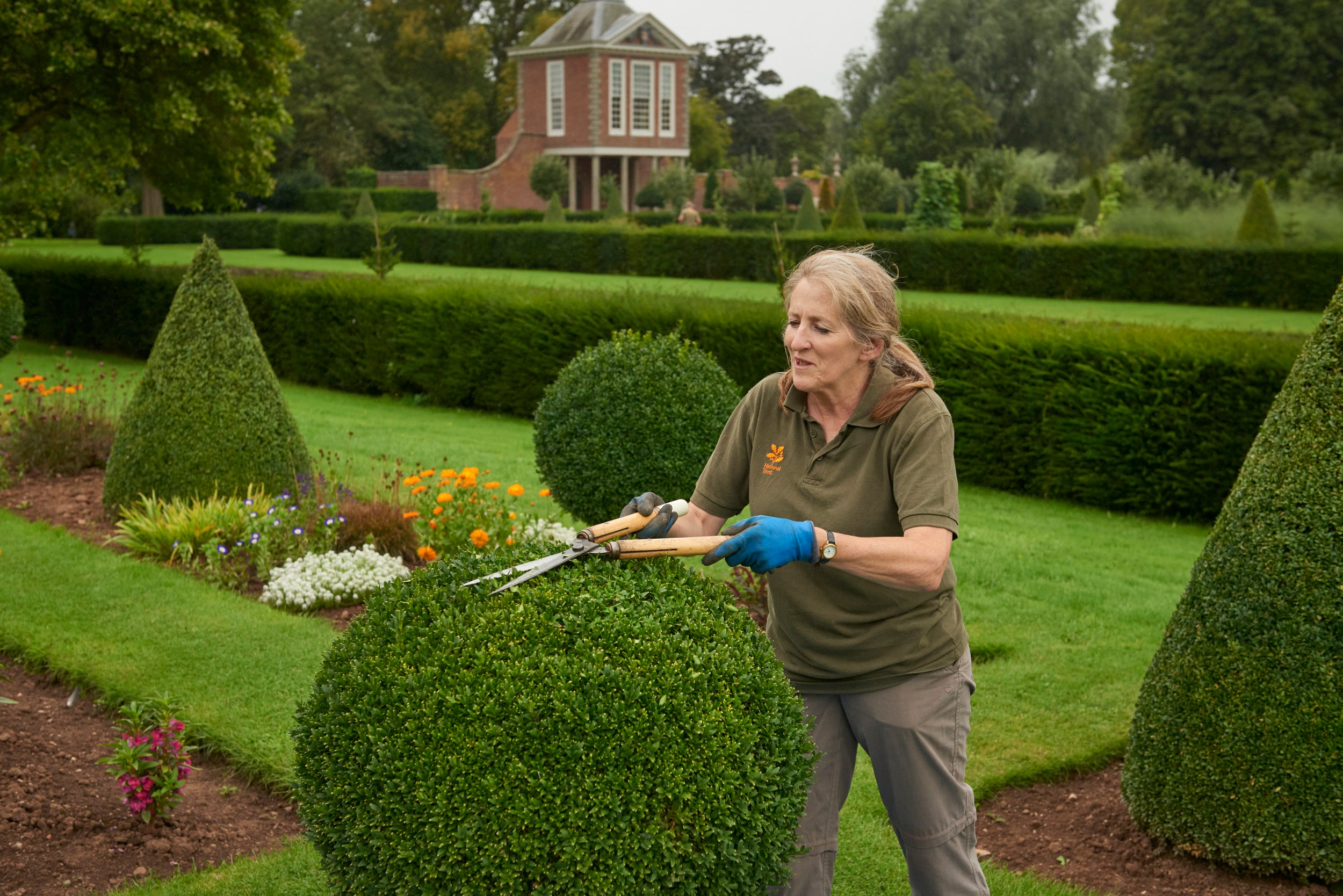 A gardener trimming some topiary next to flower beds, with more topiary and rows of hedges behind
