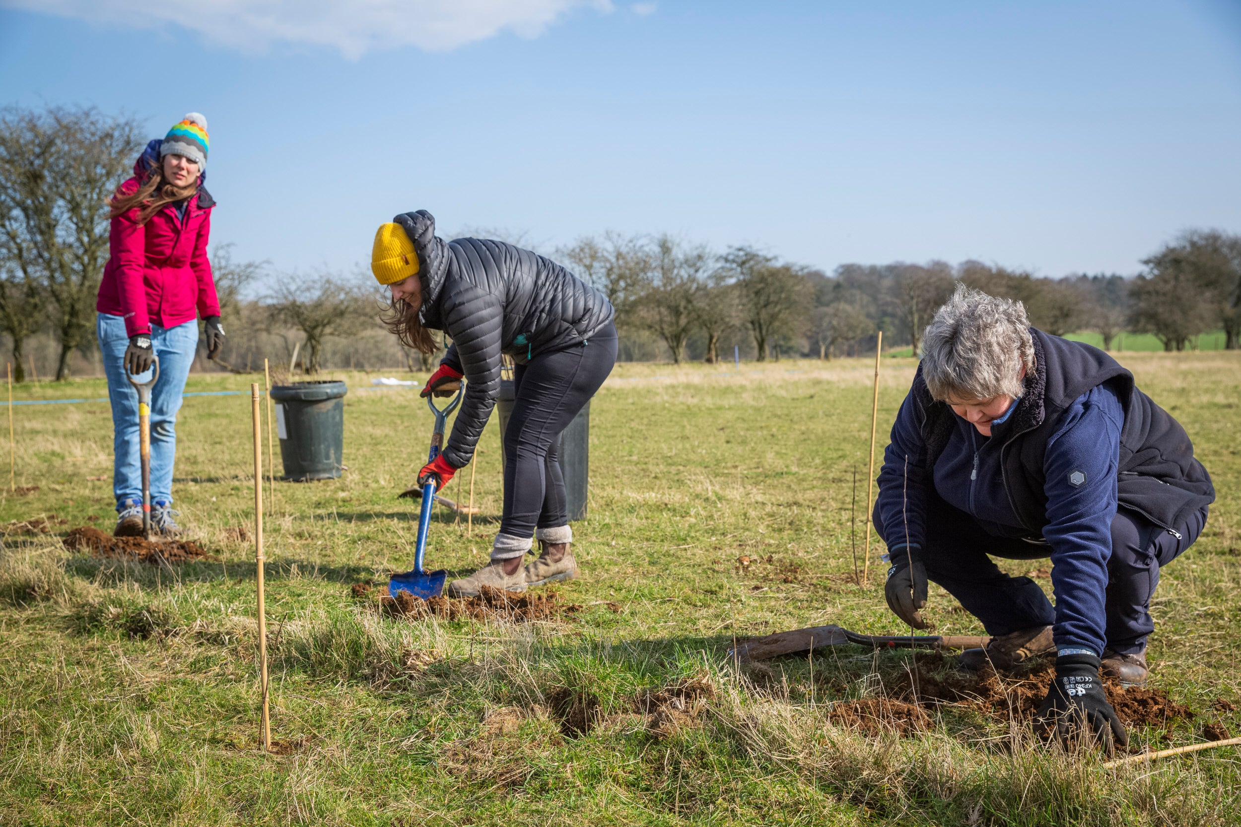 NT staff planting a tree on the Sherborne Estate