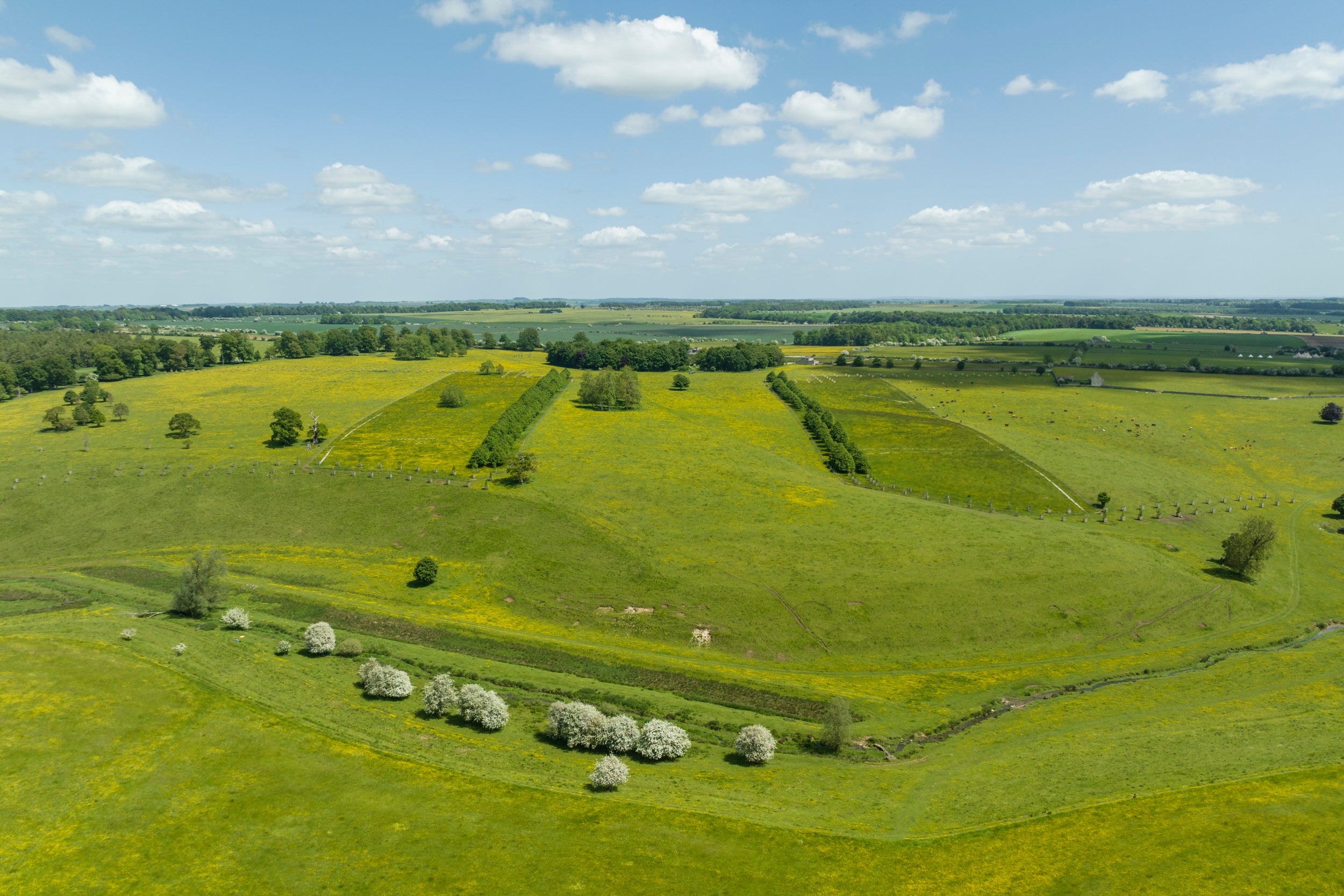 Bridgeman landscape restoration