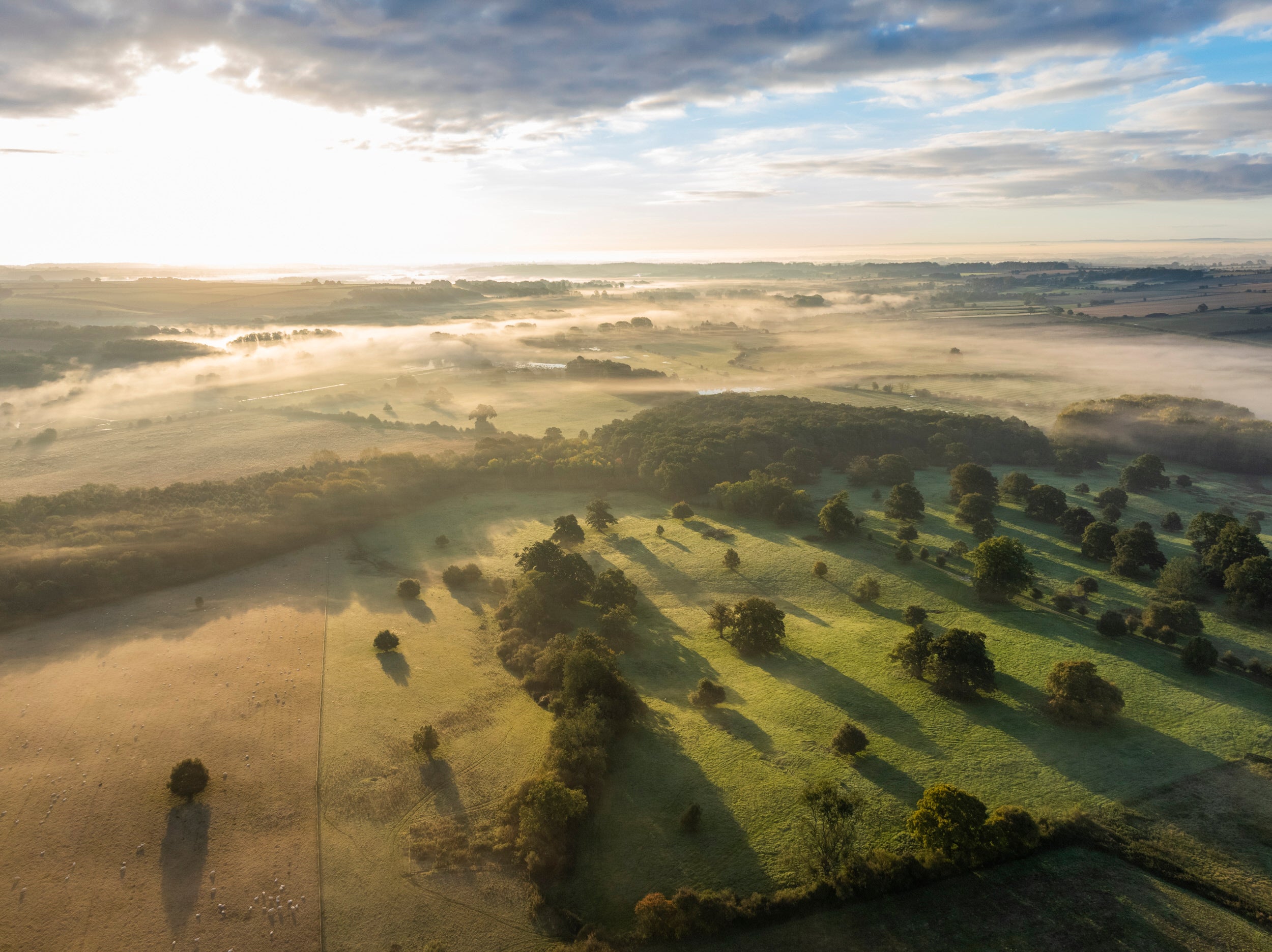 Sherborne Estate from Above