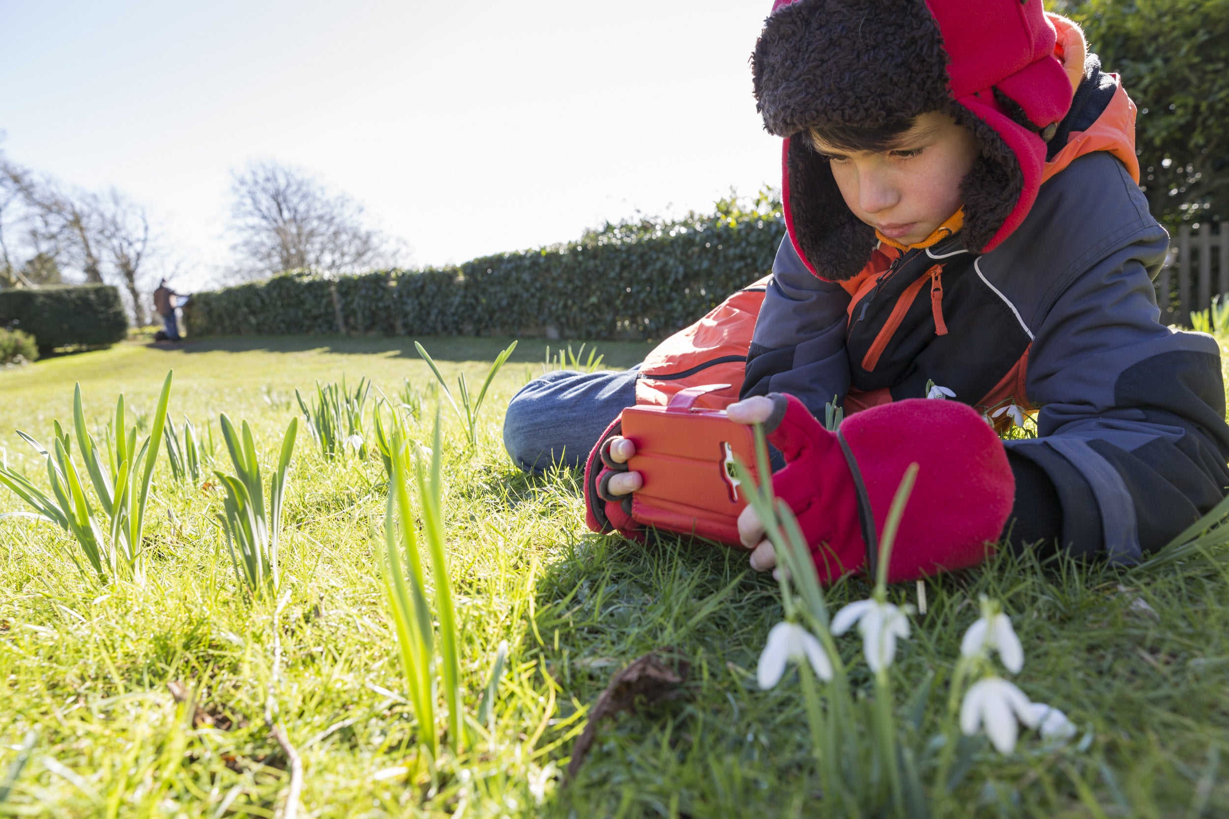 Snowdrops at Newark Park