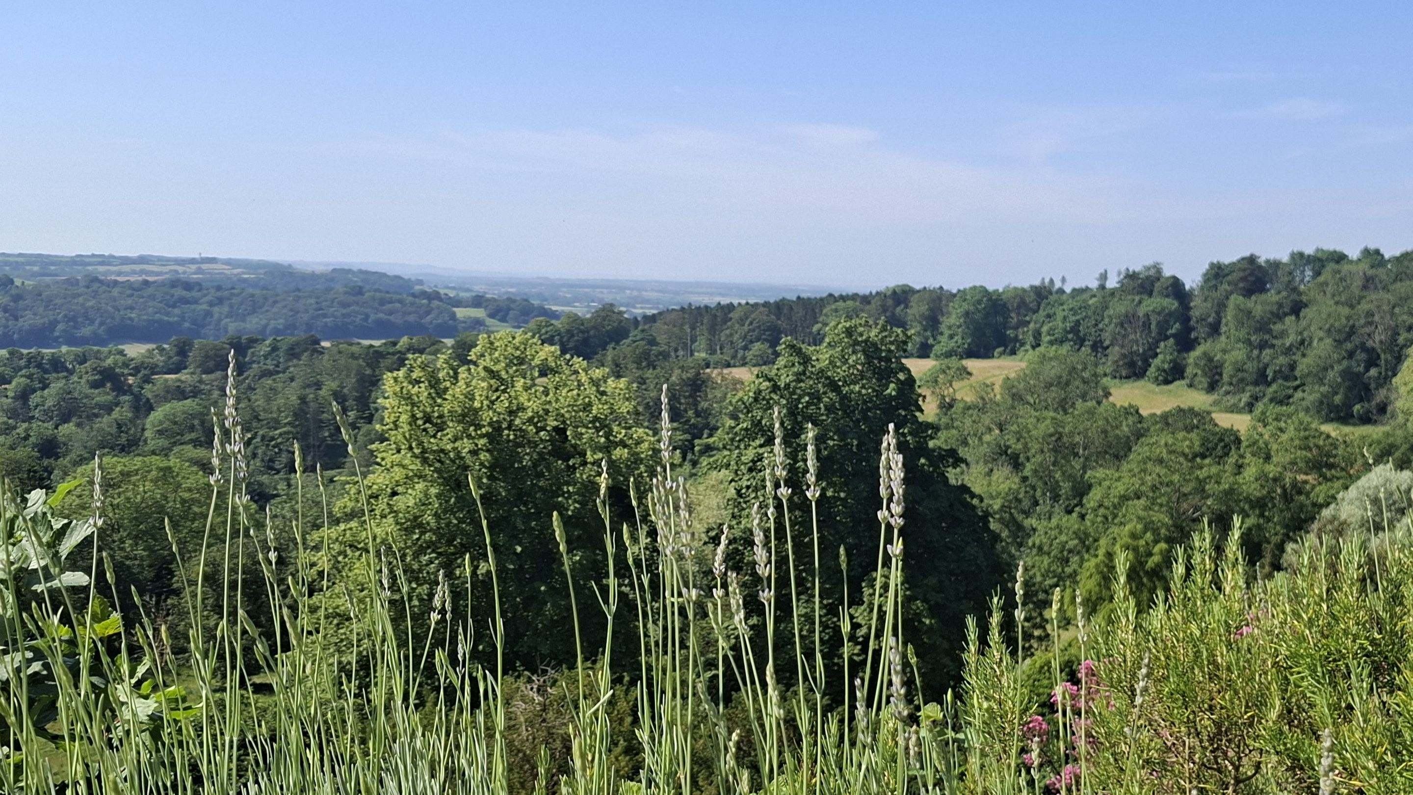 View of hills and trees in the Ozleworth valley from the garden at Newark Park