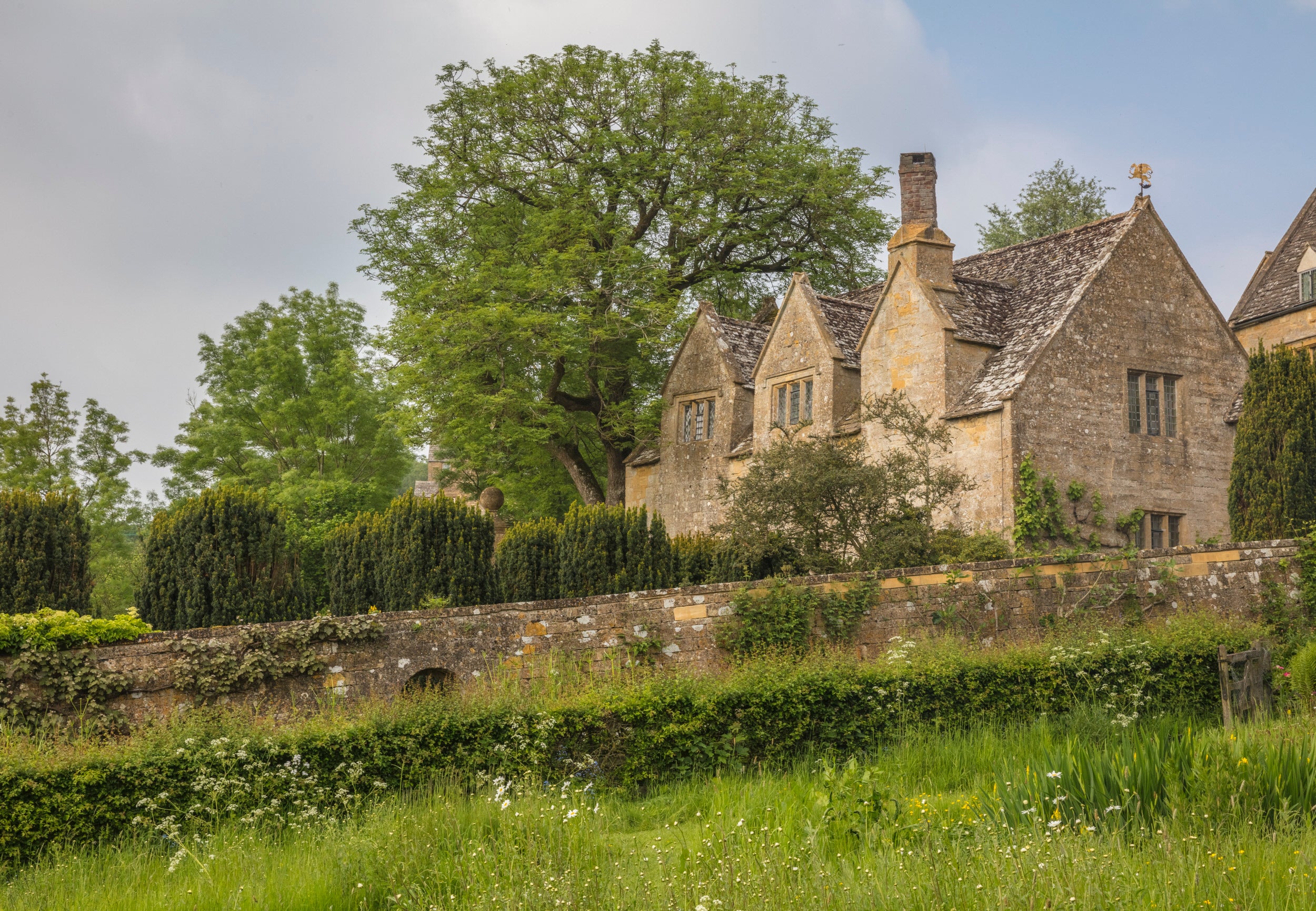 View of priests house across Orchard filled with white flowers