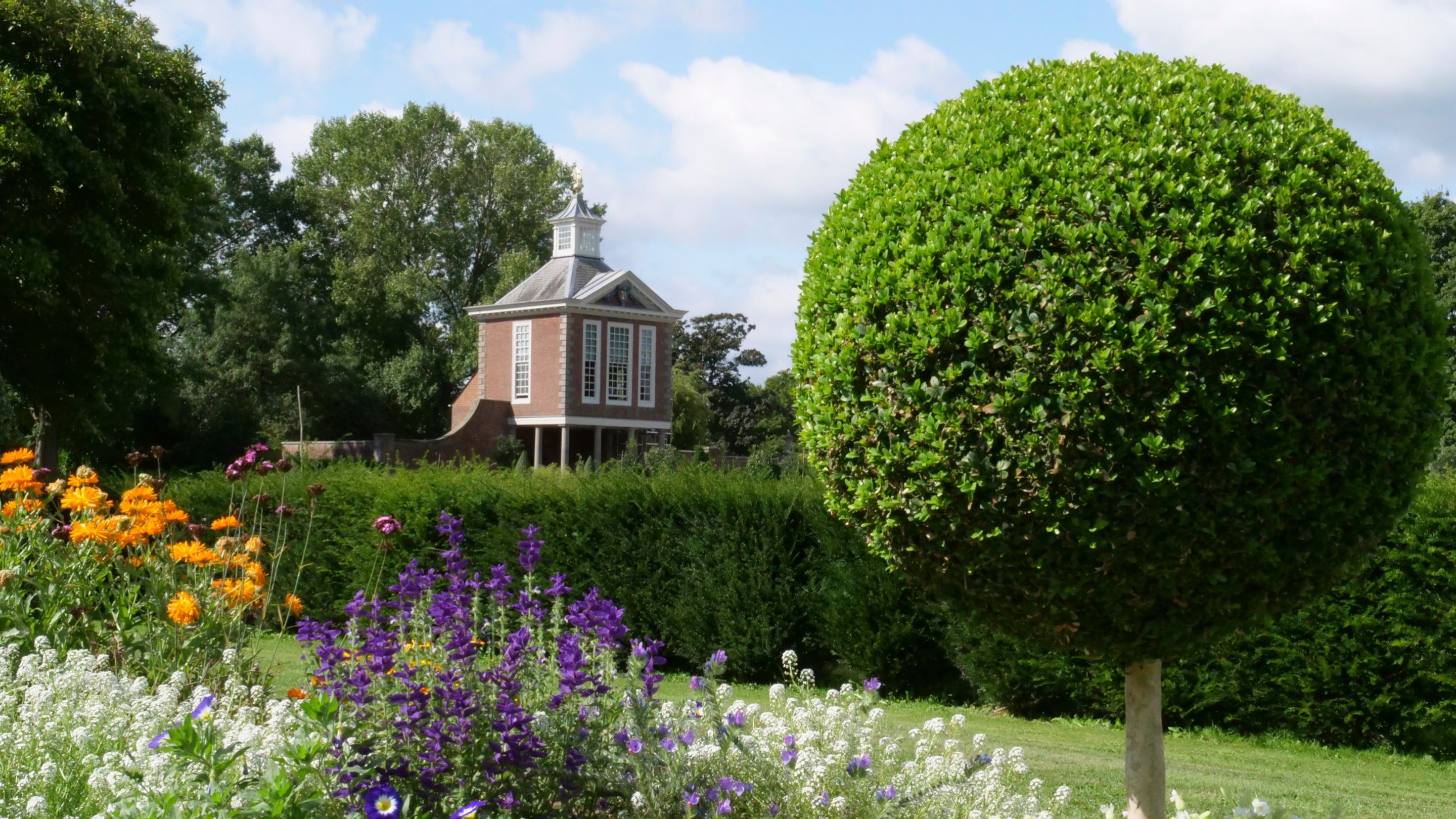 Flowers and a round topiary tree at Westbury Court Garden in summer