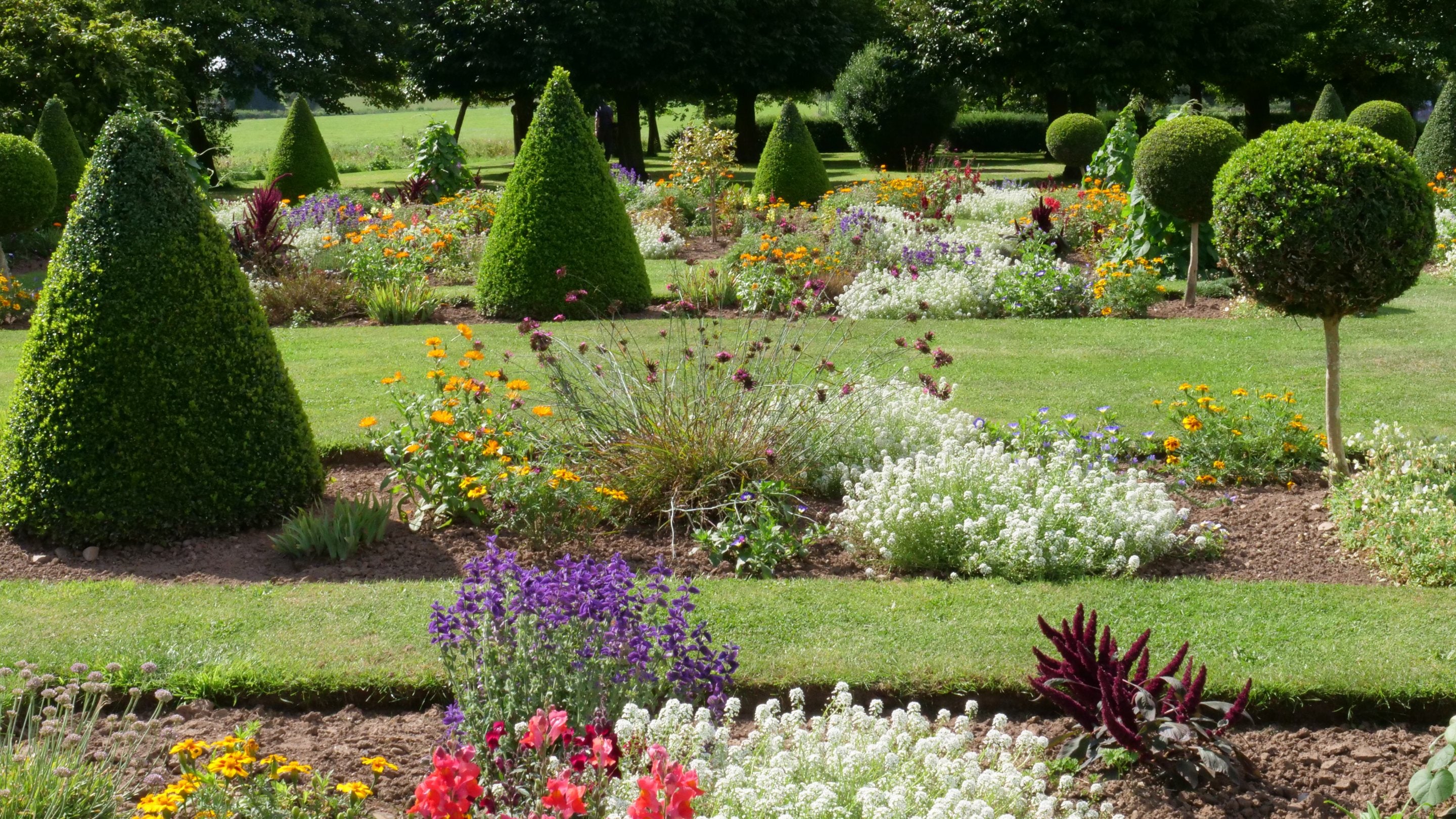 Summer in the parterres at Westbury Court Garden, Gloucestershire