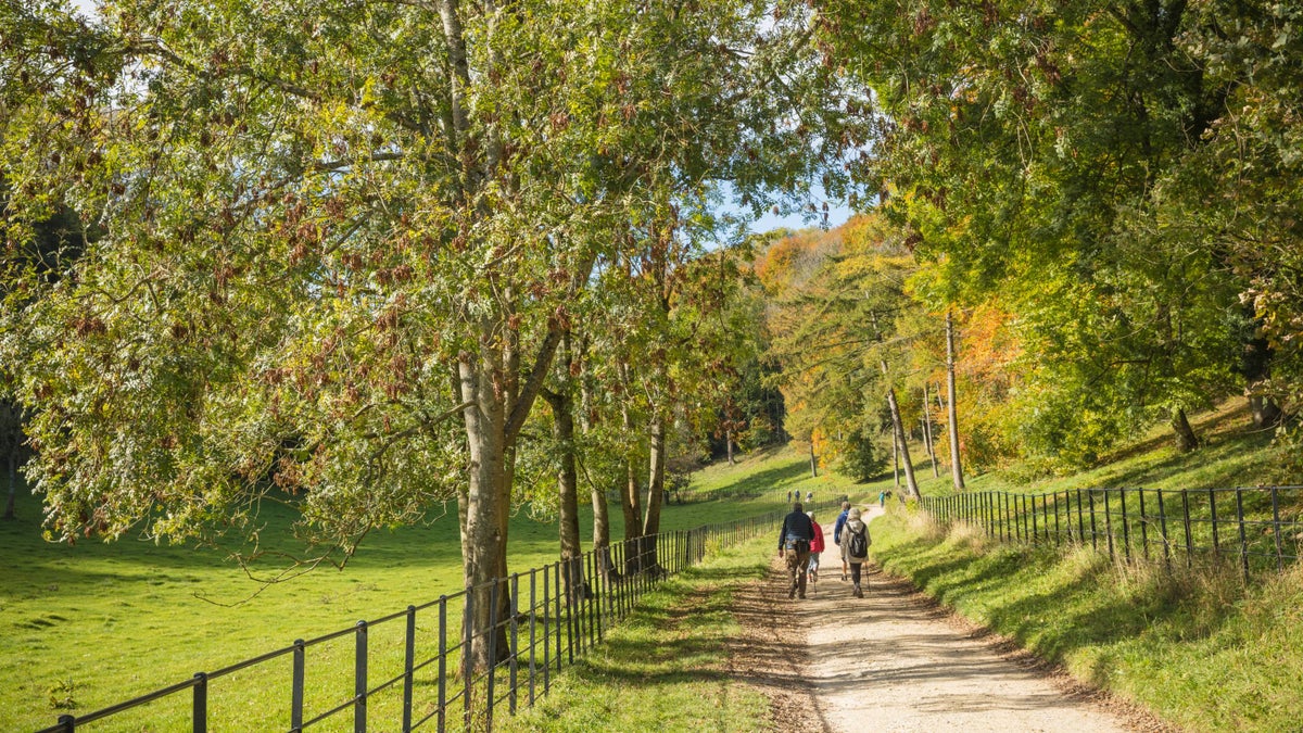 Explore Woodchester Park Gloucestershire National Trust