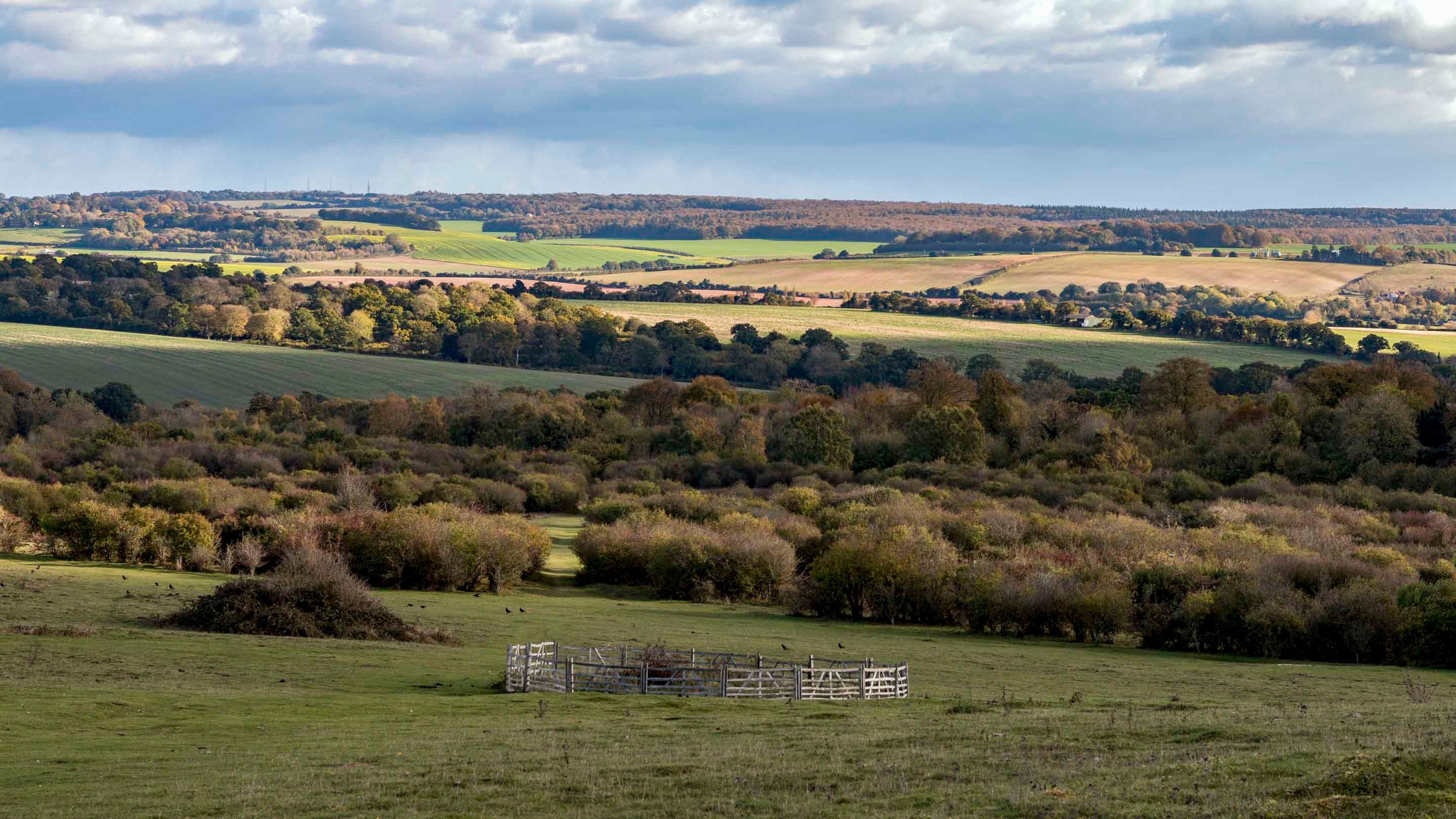 The Bronze Age burial mound at Stockbridge Down, Mottisfont, Hampshire