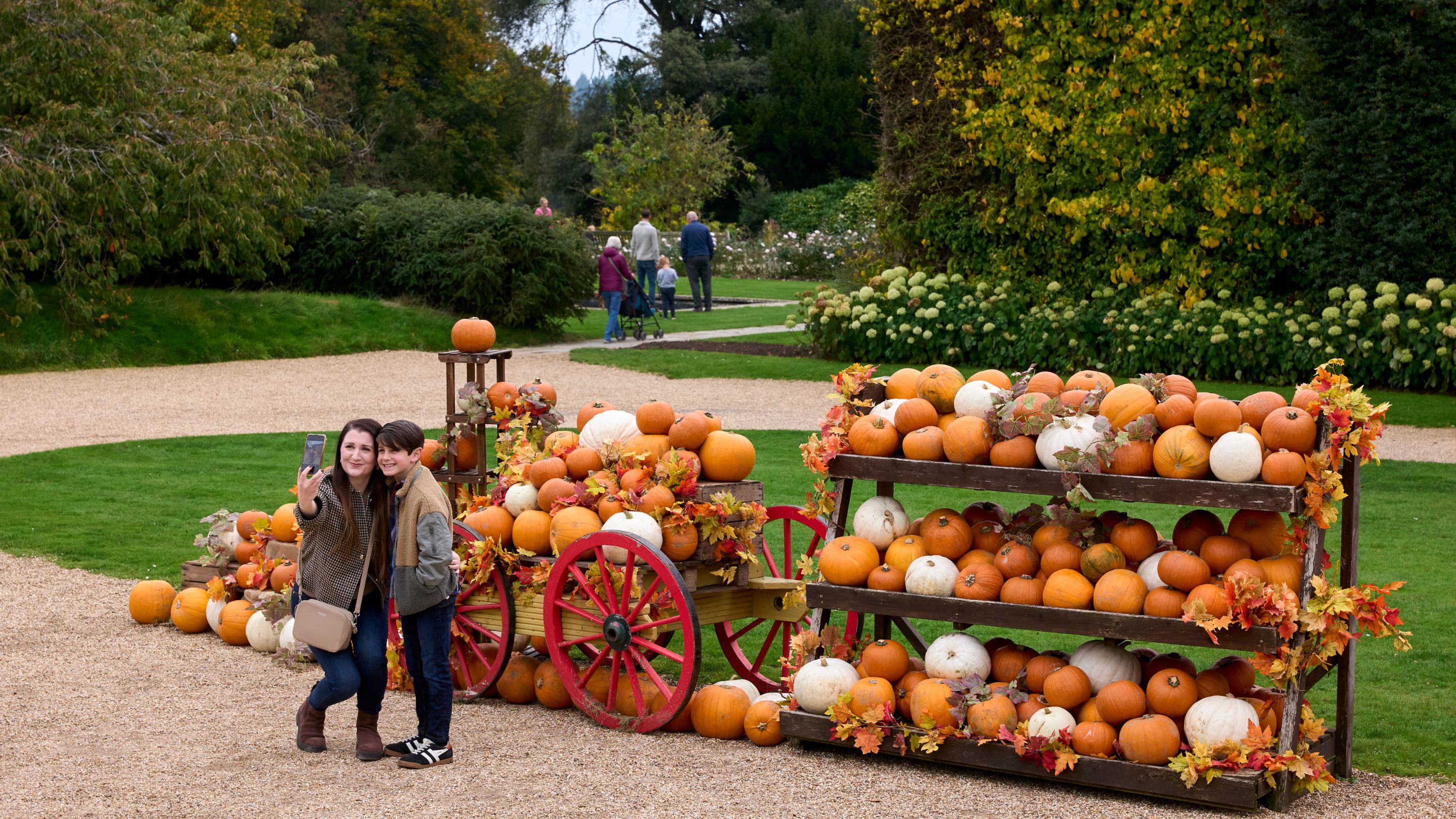 Mother and child in front of large display of pumpkins in cart and on shelves, with gravel path, grass and garden shrubs all around