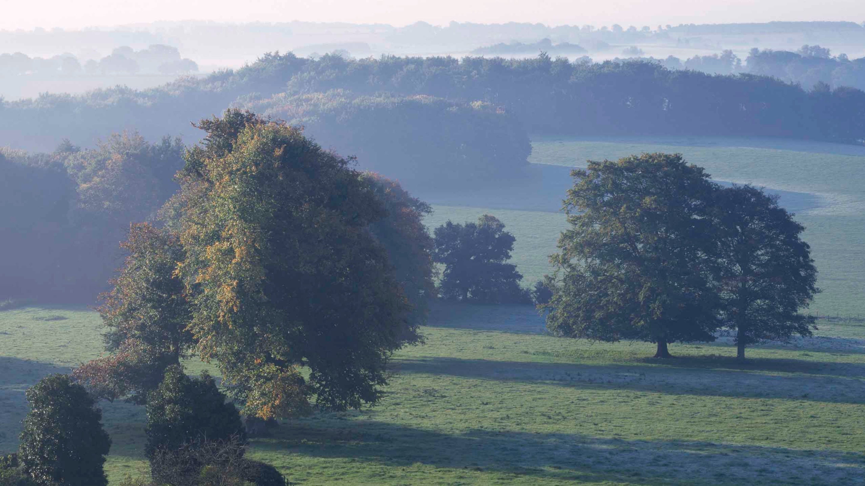 View of trees in the park taken from the house at Hinton Ampner, Hampshire