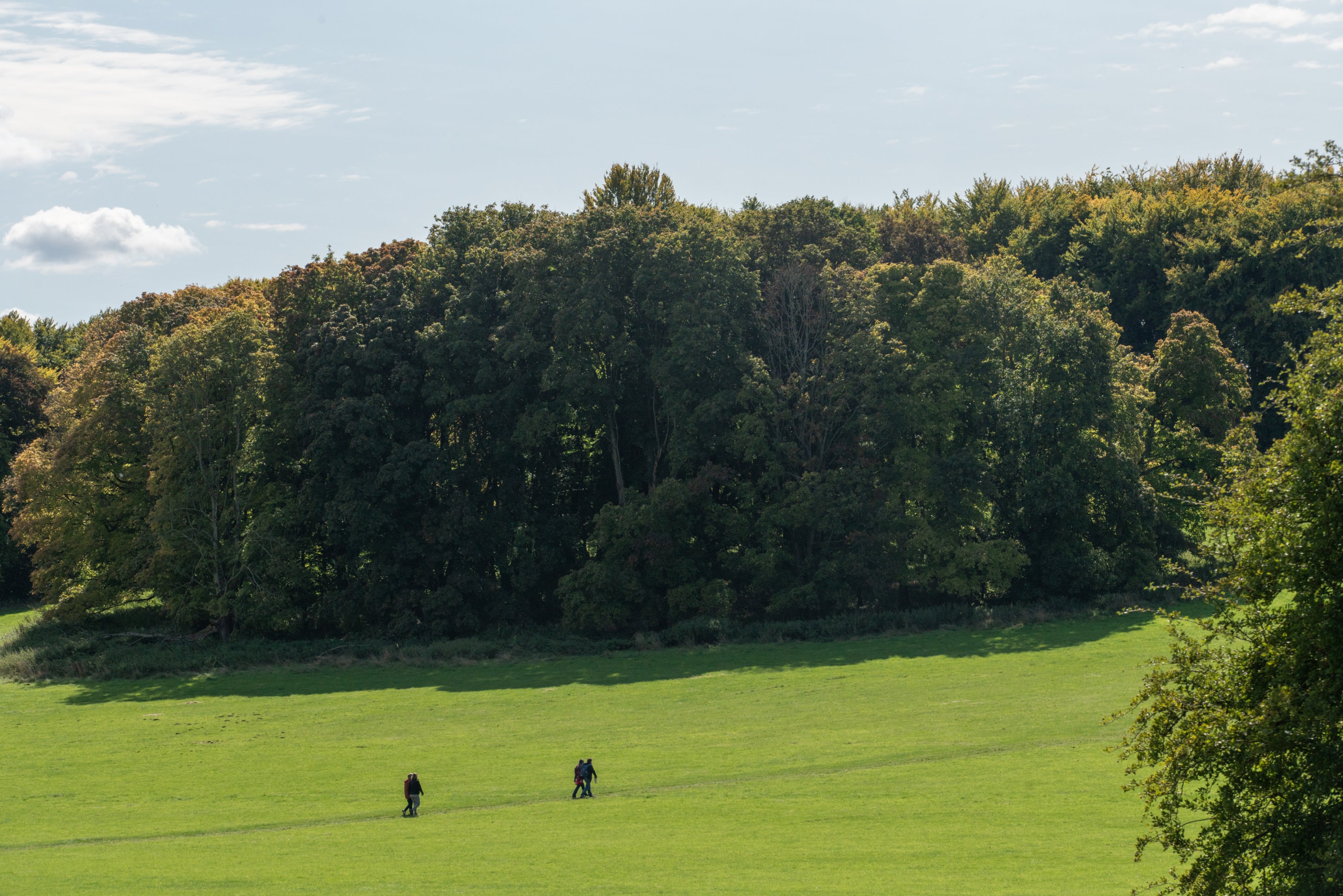 Wide view of a grassy estate landscape with a line of dense trees in the background, as several visitors walk along a faint path across the open field under a bright sky.