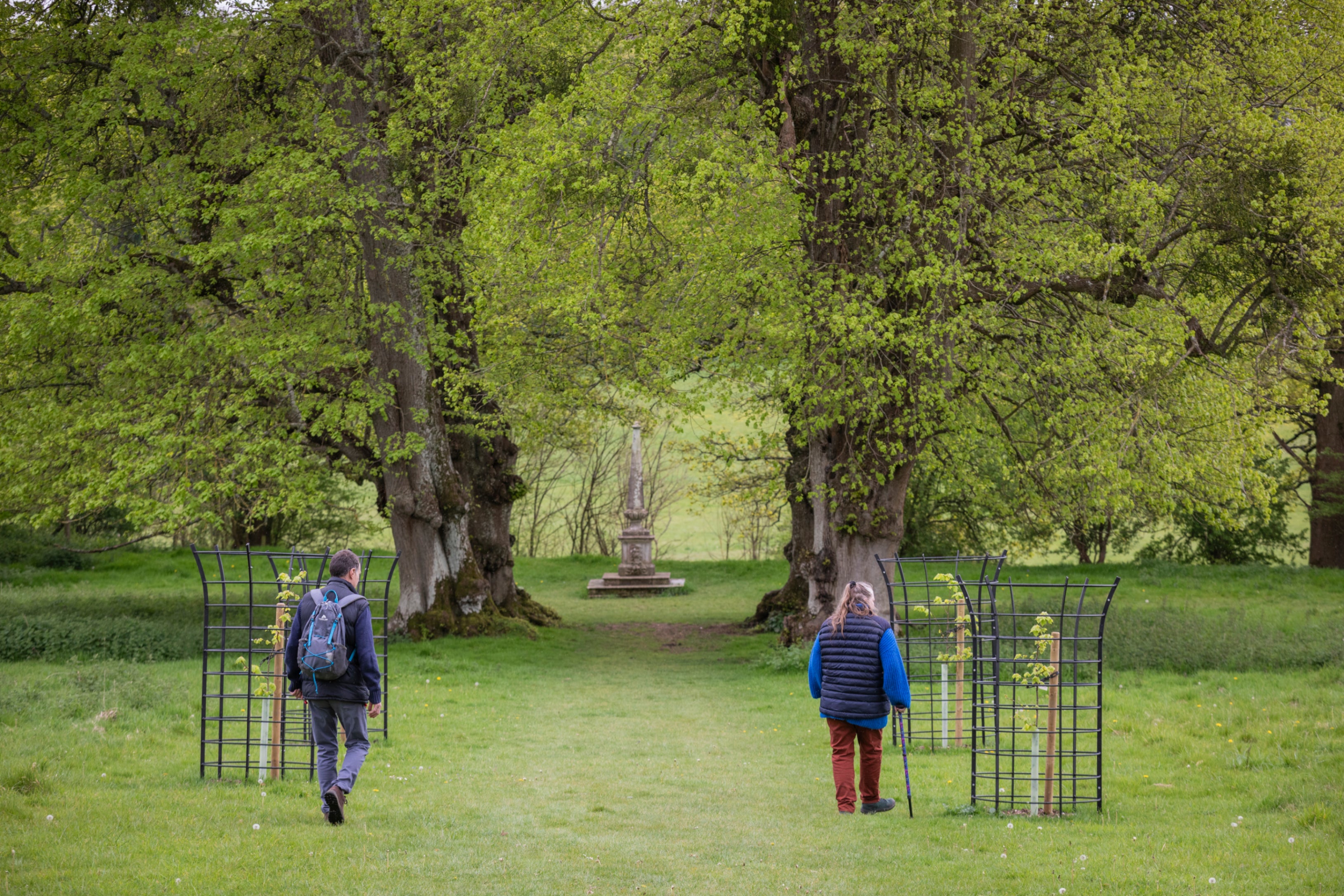 Two visitors walk along a grassy avenue in Hinton Ampner parkland, Hampshire, between young protected trees and mature trees covered in fresh spring leaves. A stone monument stands in the distance at the end of the path, framed by the vibrant green landscape.