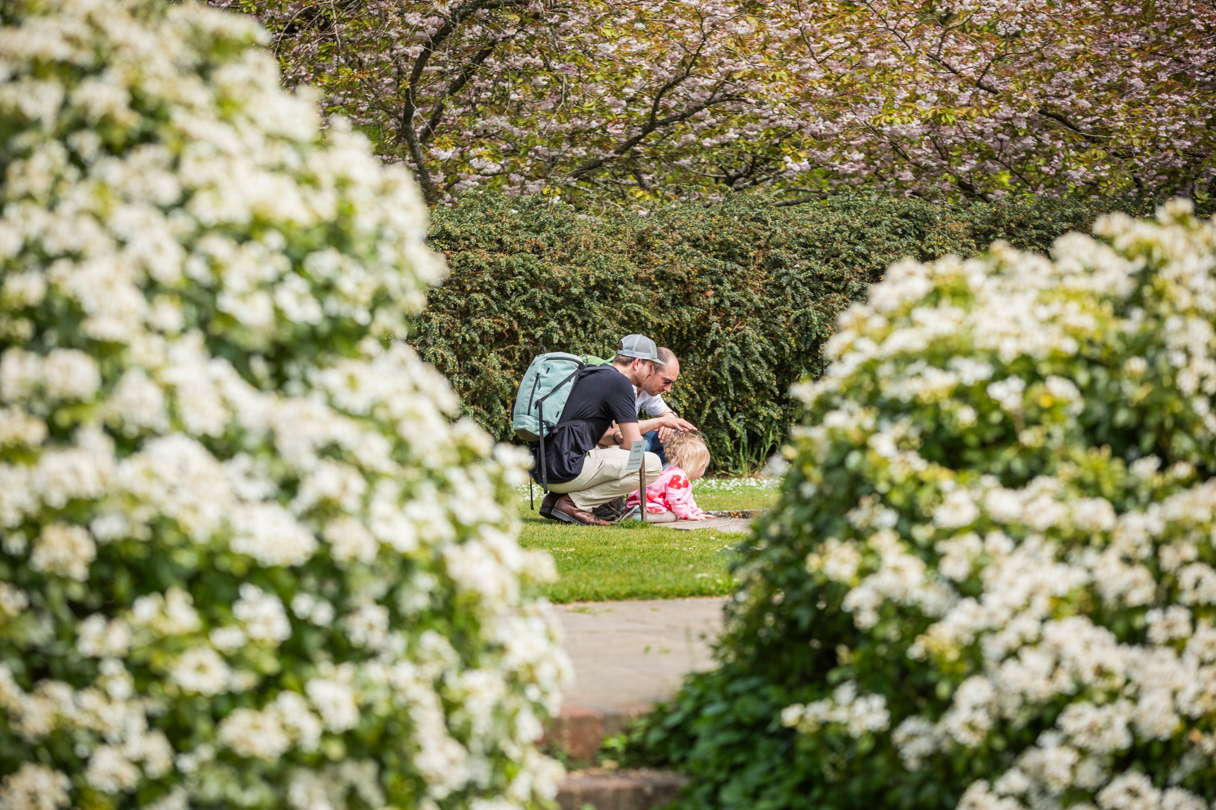 Family enjoying a late spring visit at Hinton Ampner, Hampshire