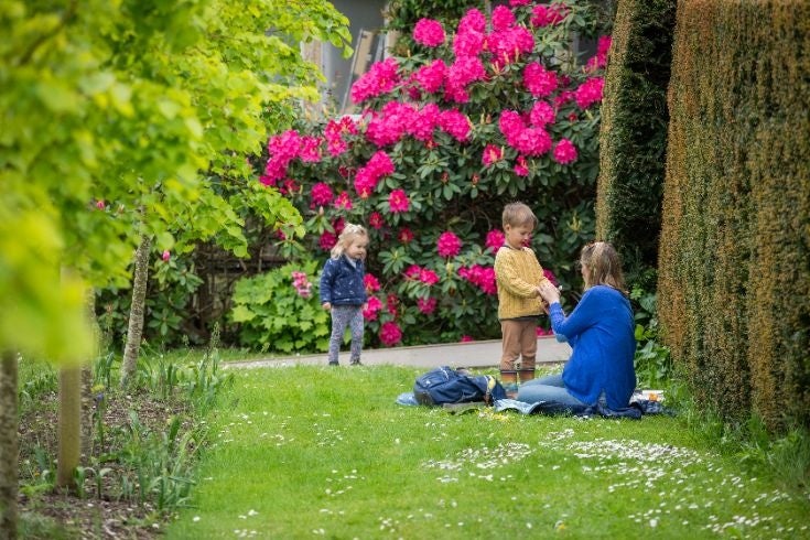 A person sits on a blanket on a grassy garden path, helping a child while another child stands nearby. Bright pink rhododendron flowers fill the background, and the scene is surrounded by lush green trees and hedges.