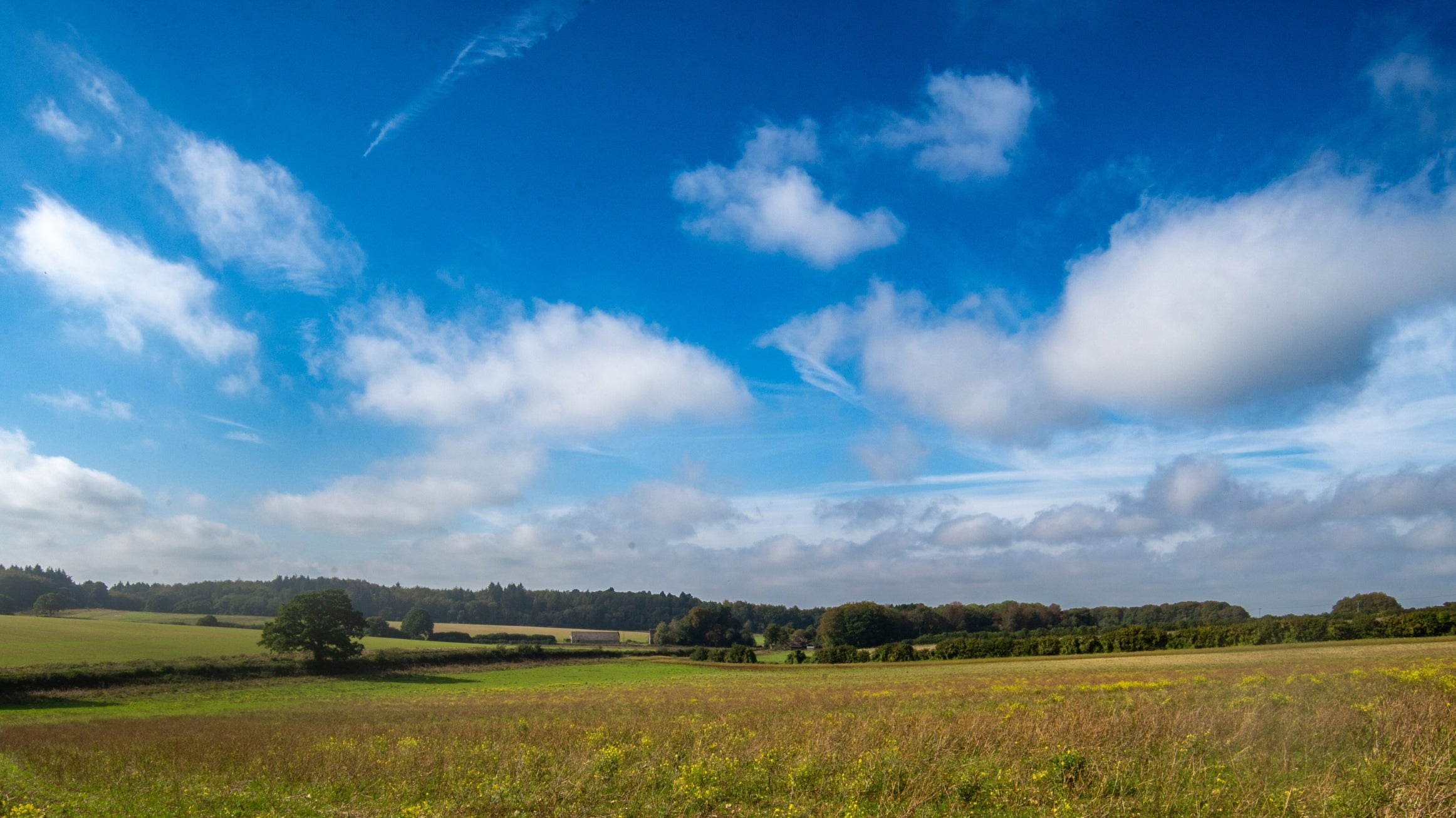 Open meadows with a tree-lined horizon and blue sky at Hinton Ampner, Hampshire