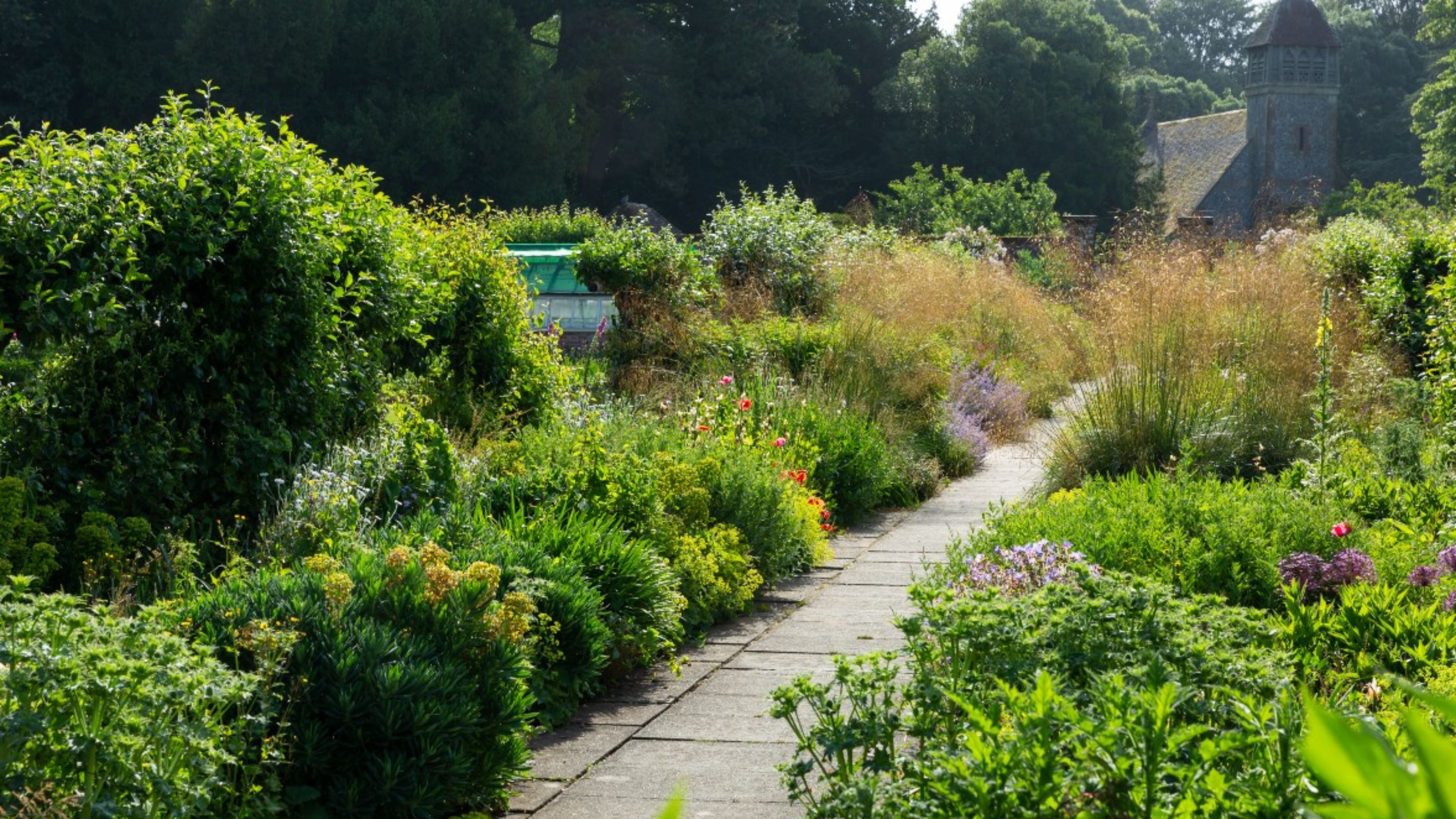 Summer borders with a flag stoned path through the middle of Hinton Ampner's walled garden, with church in the background.