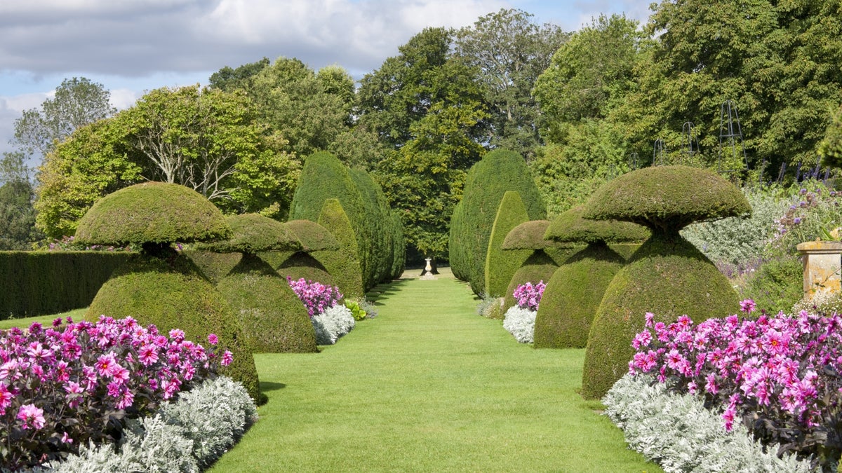 Gardens and parks in Hampshire National Trust