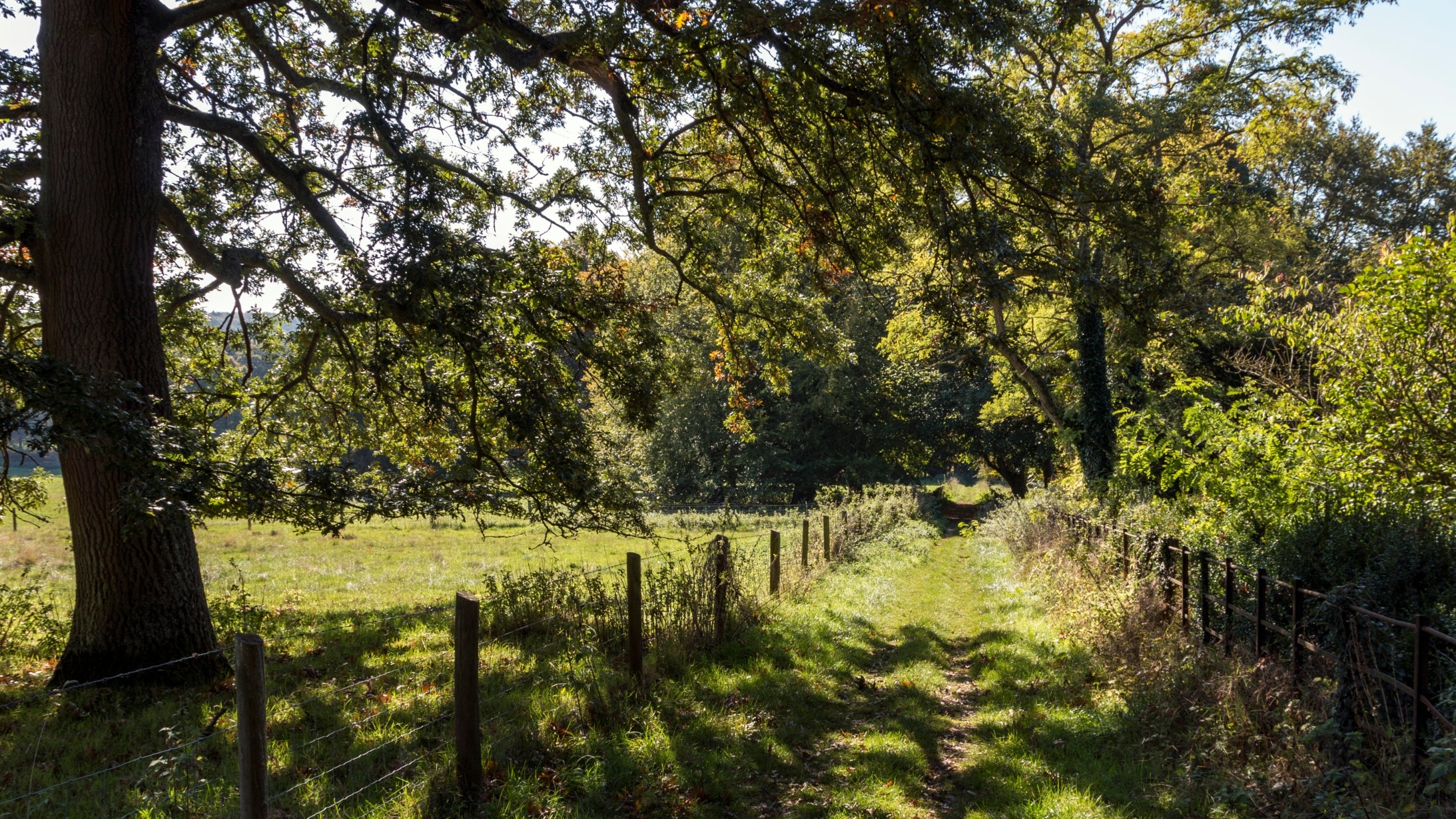 Narrow fence lined grass path flanked by fields, shrubs and trees