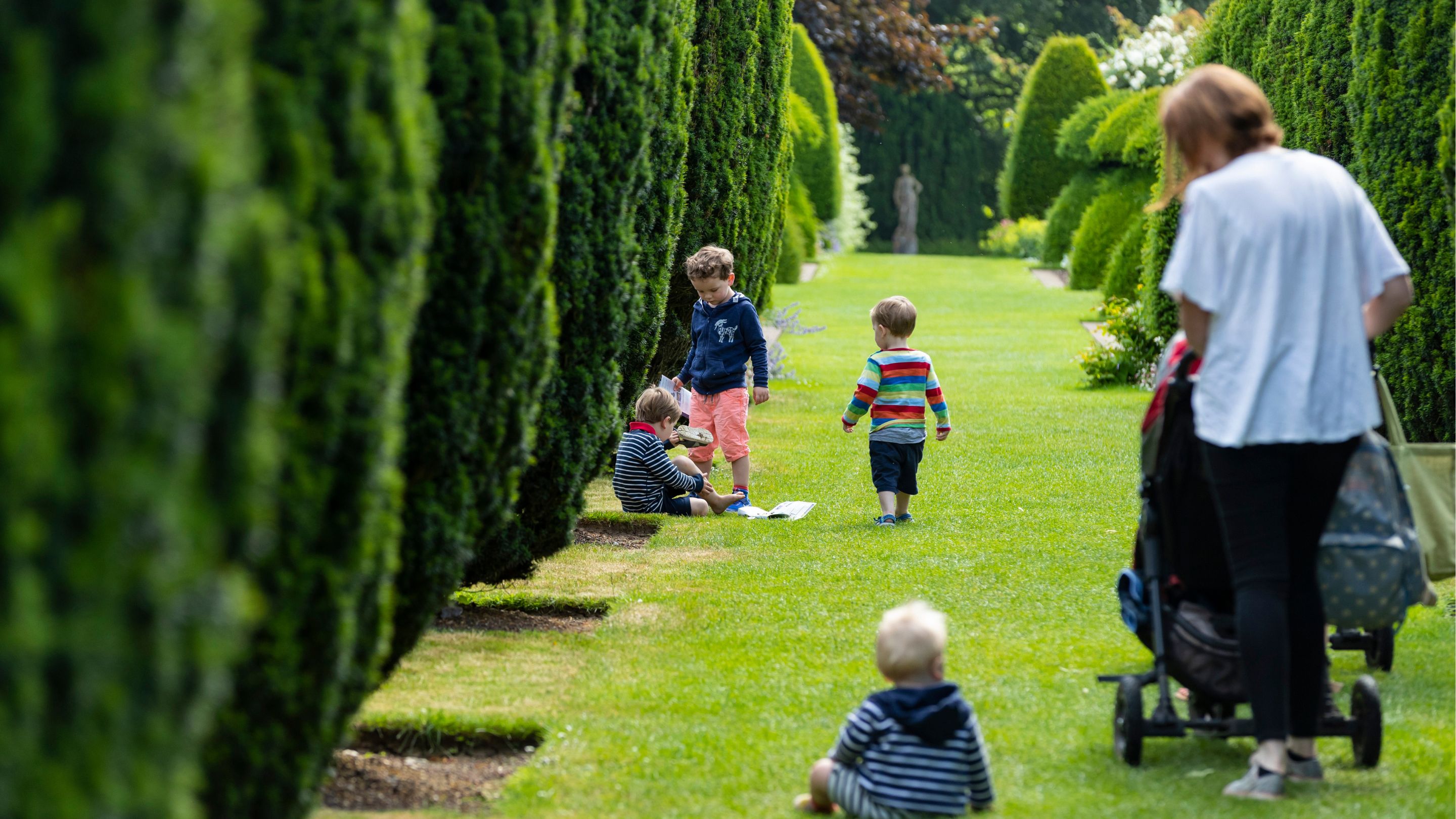Woman in white t-shirt pushing buggy with young children alongside, on hedge-lined grass avenue at Hinton Ampner, summer