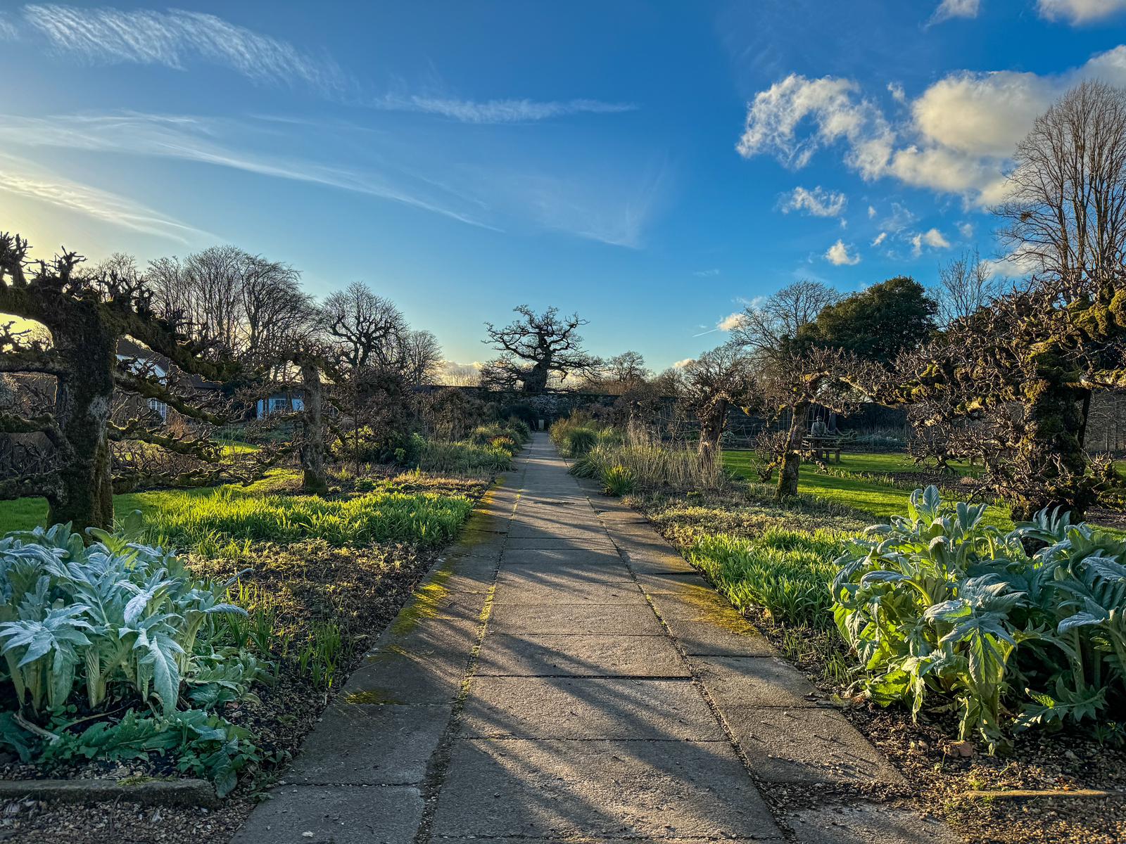 Winter in the Walled Garden at Hinton Ampner