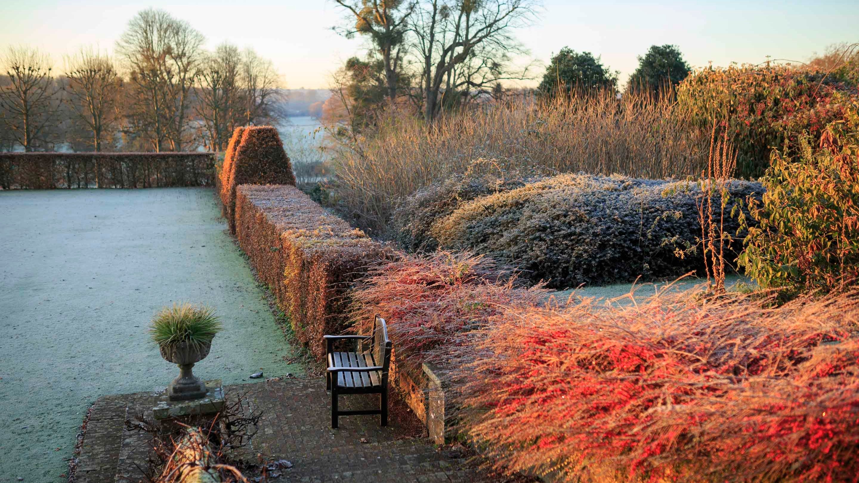 The garden at Hinton Ampner on a frosty winter morning