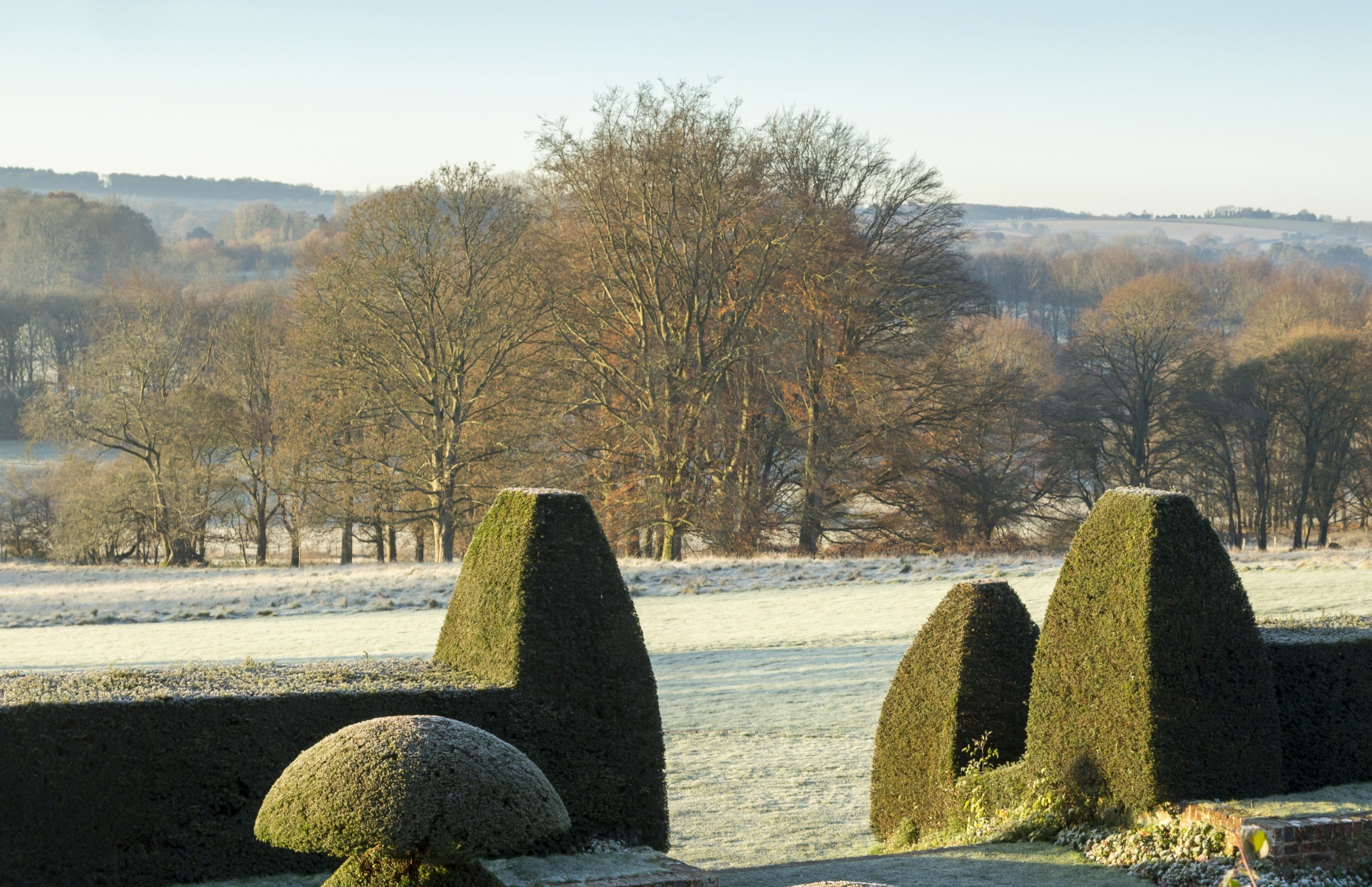Garden topiary and view over parkland in winter, Hinton Ampner, Hampshire