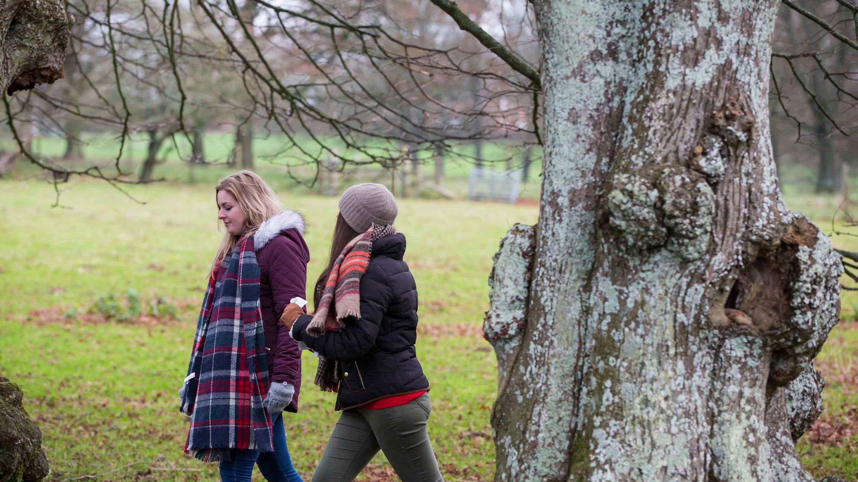 Visitors beside a big tree in winter at Hinton Ampner, Hampshire